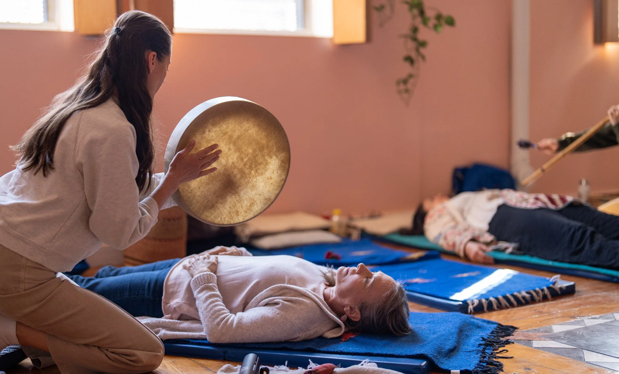 dream seed sound healer training.jpg