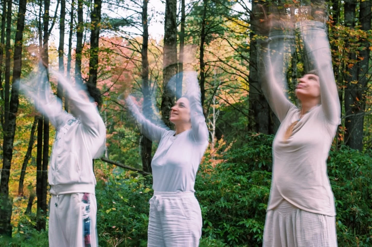 The Chakras, Plainly
