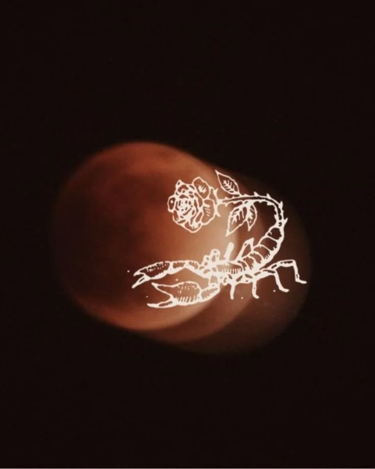 Full Moon Meditation | Scorpio Sun x Taurus Moon