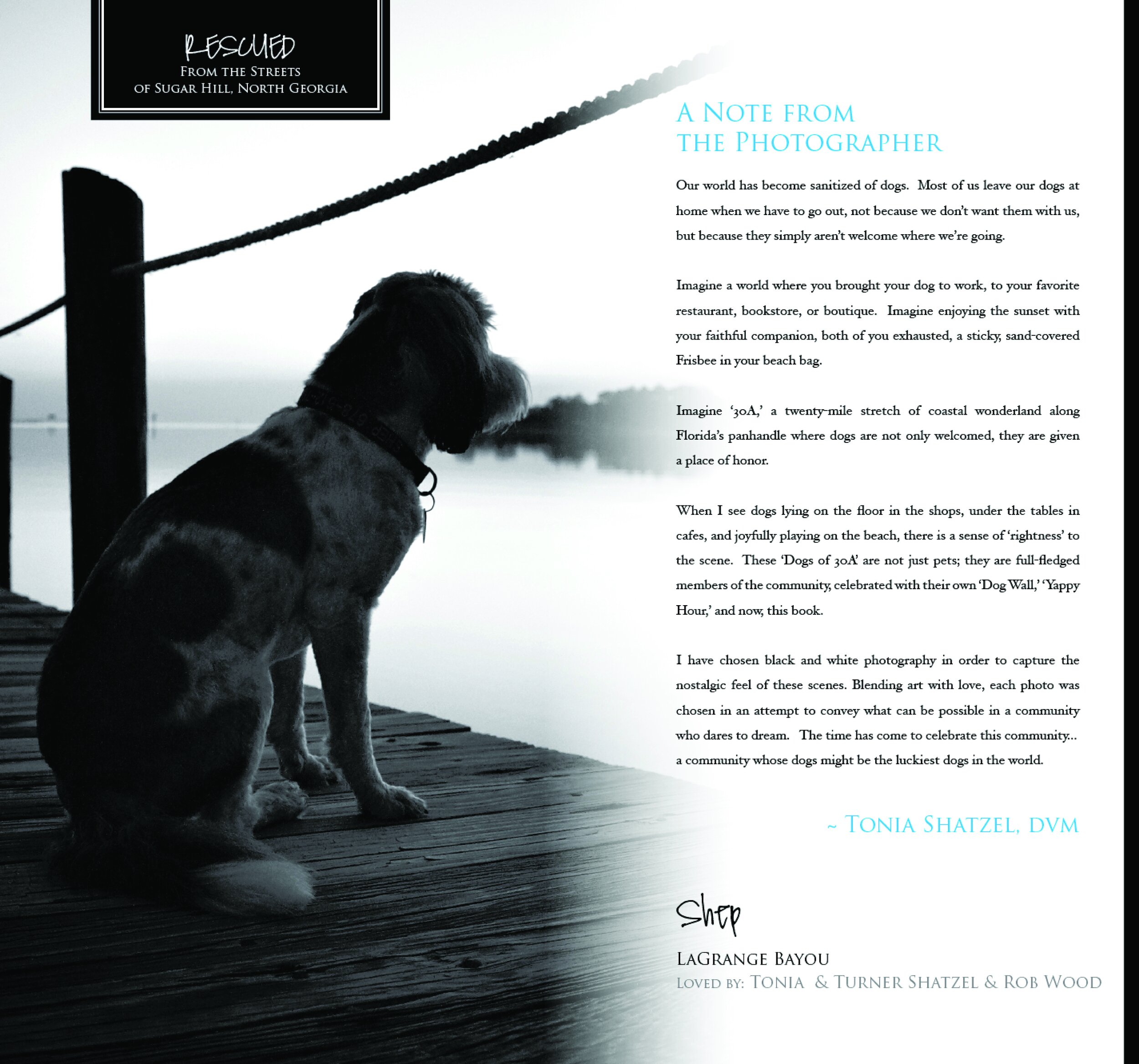 Dogs of 30A 2010 Edition Book2.jpg