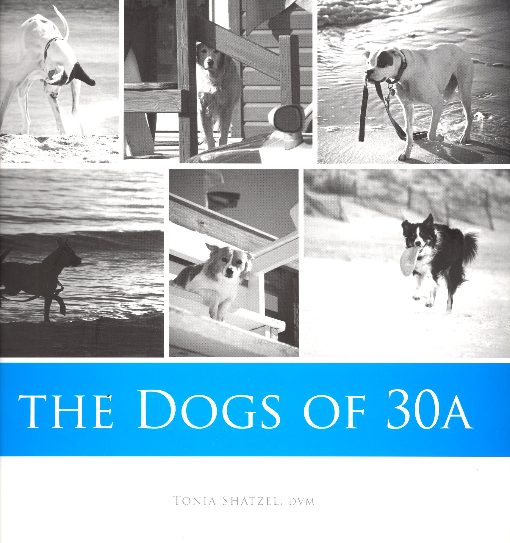 Dogs-of-30A-Cover-Sea-Level-Dogs.png