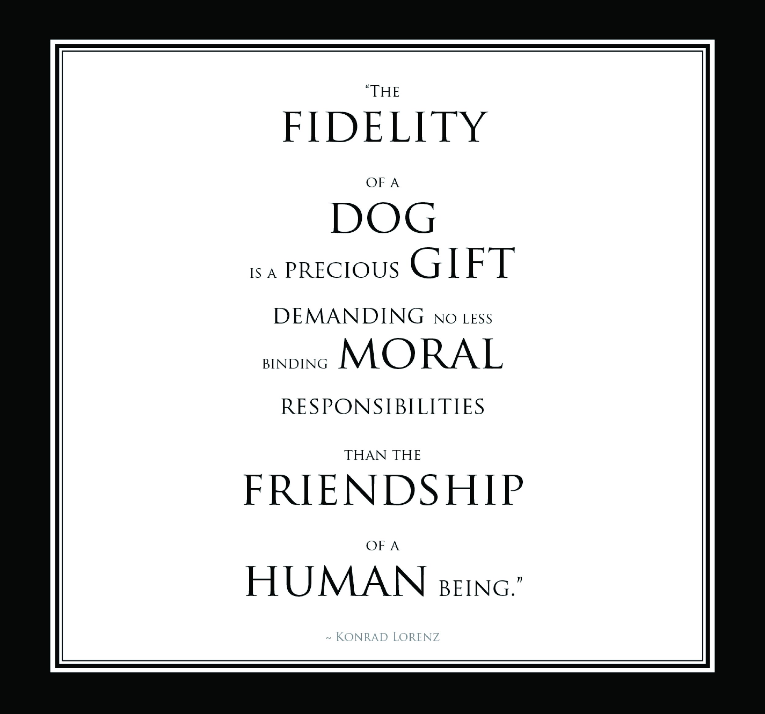 Dogs of 30A 2010 Edition Book3.jpg
