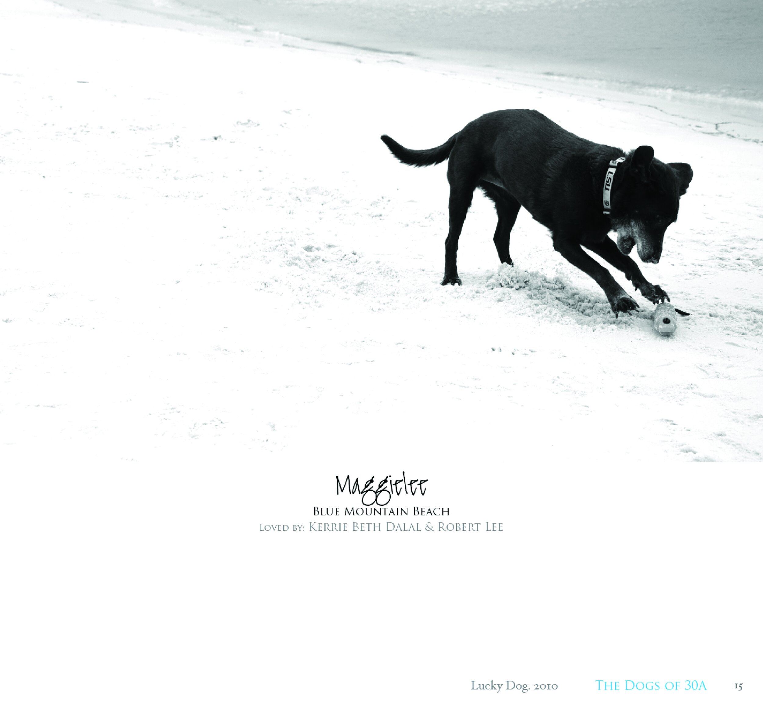 Dogs of 30A 2010 Edition Book15.jpg