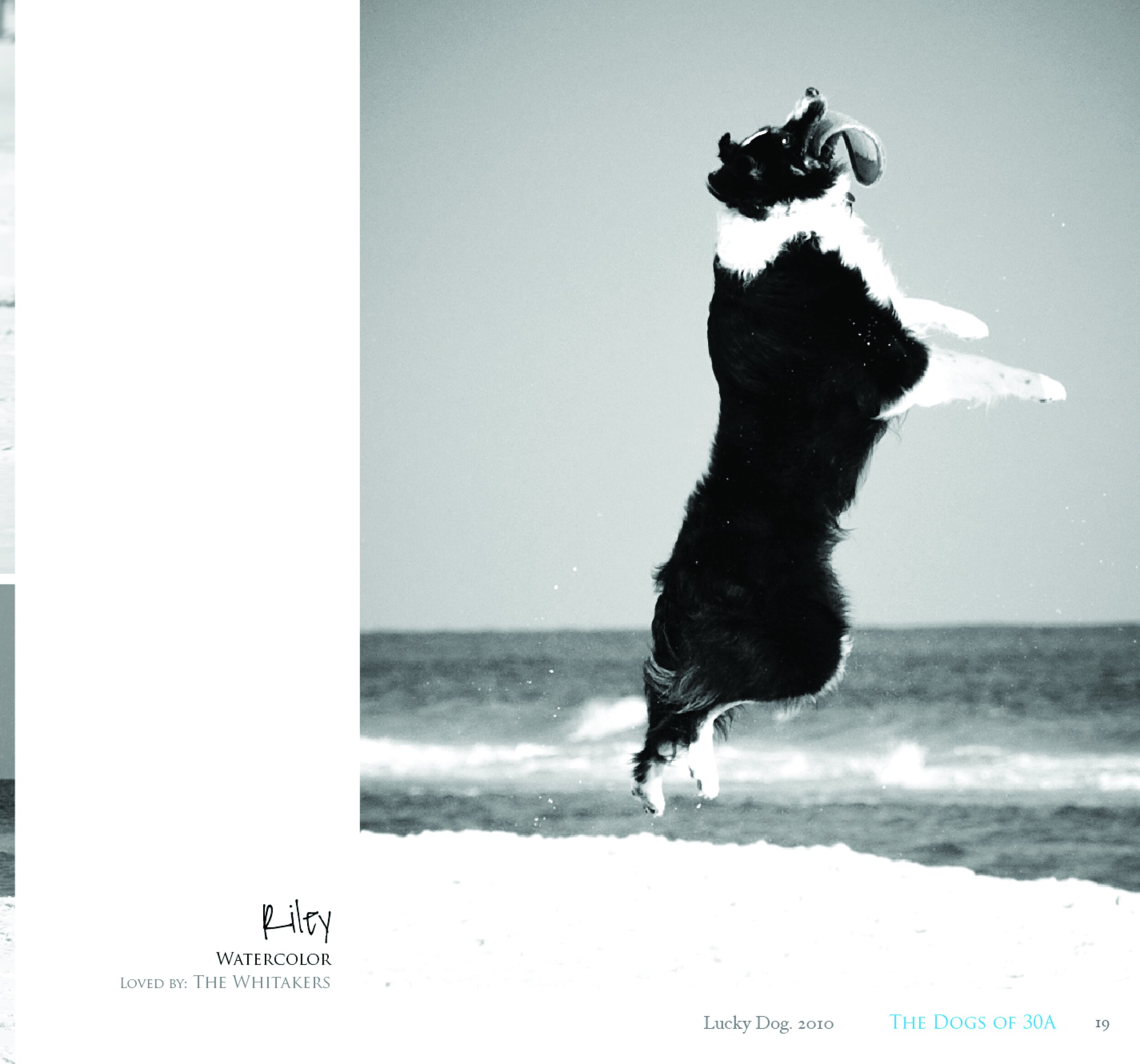 Dogs of 30A 2010 Edition Book19.jpg