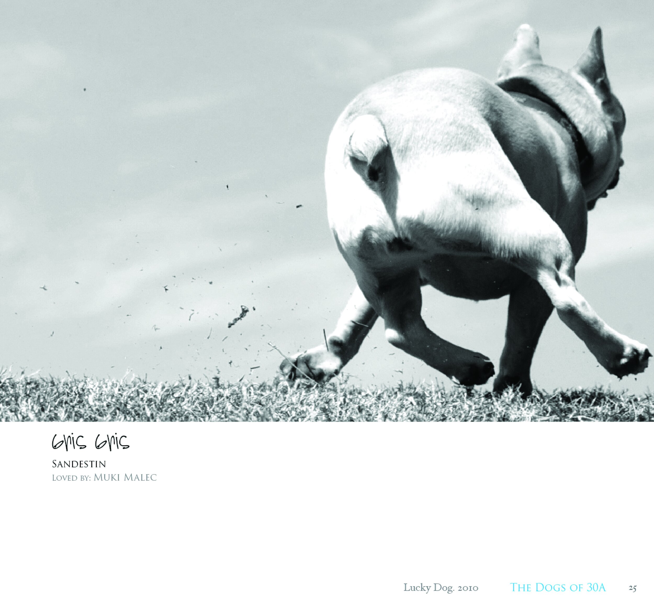 Dogs of 30A 2010 Edition Book25.jpg