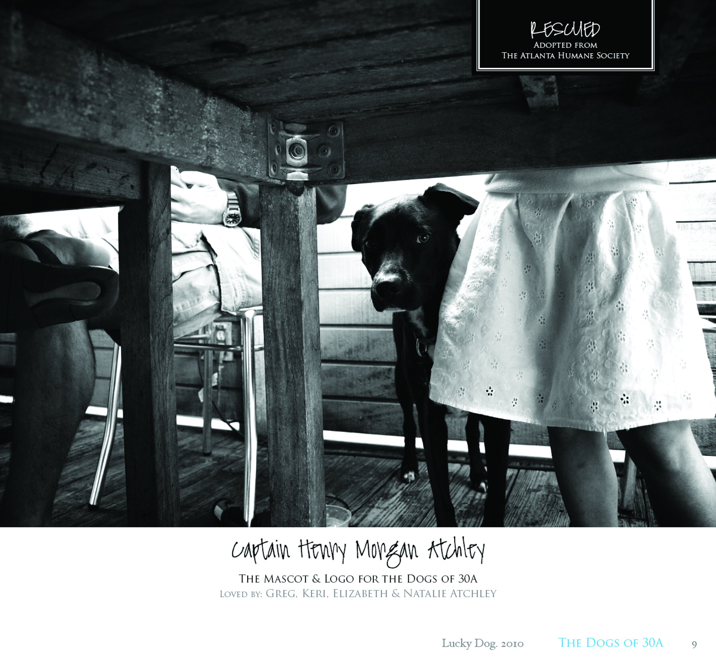 Dogs of 30A 2010 Edition Book9.jpg