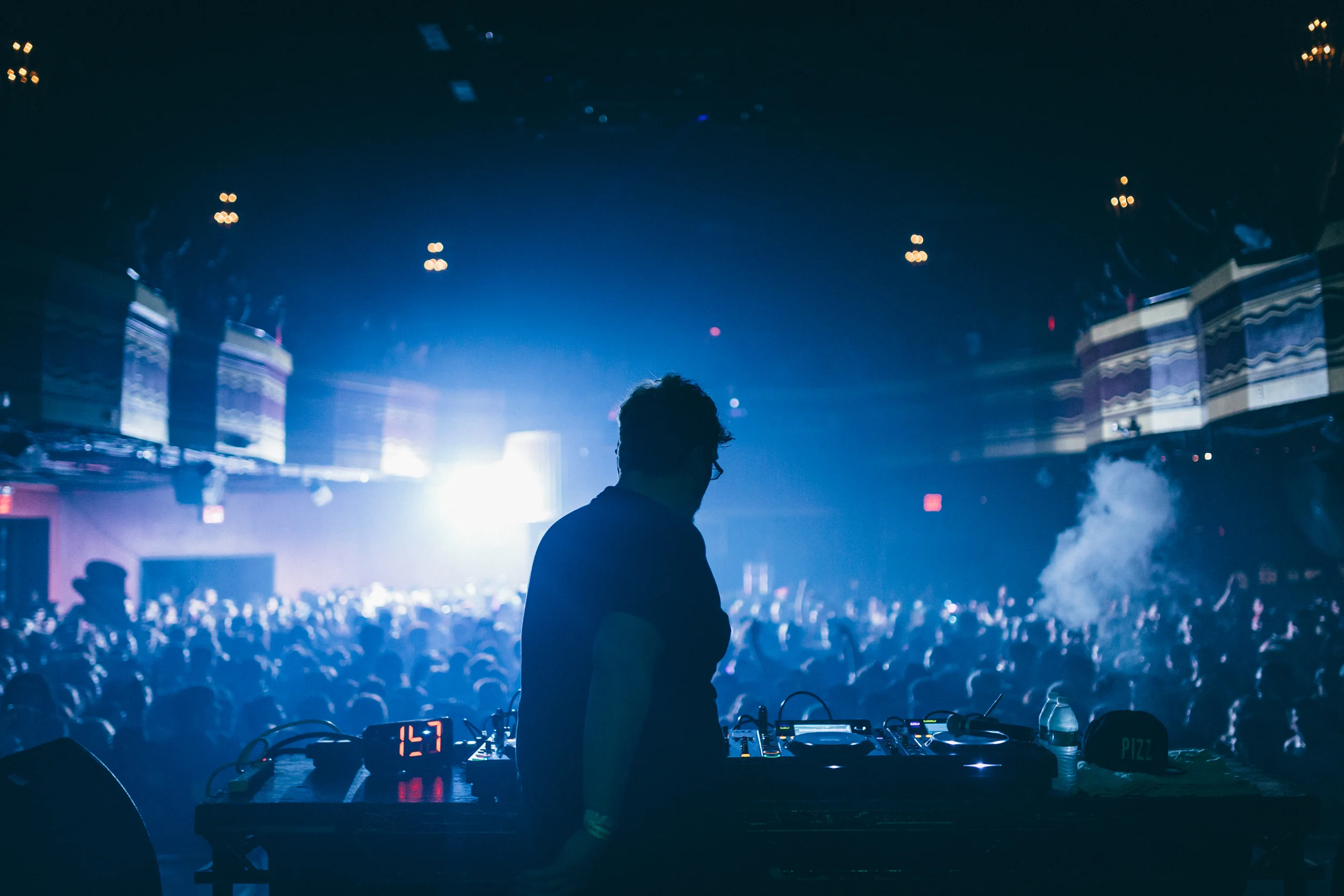 snails-22.jpg
