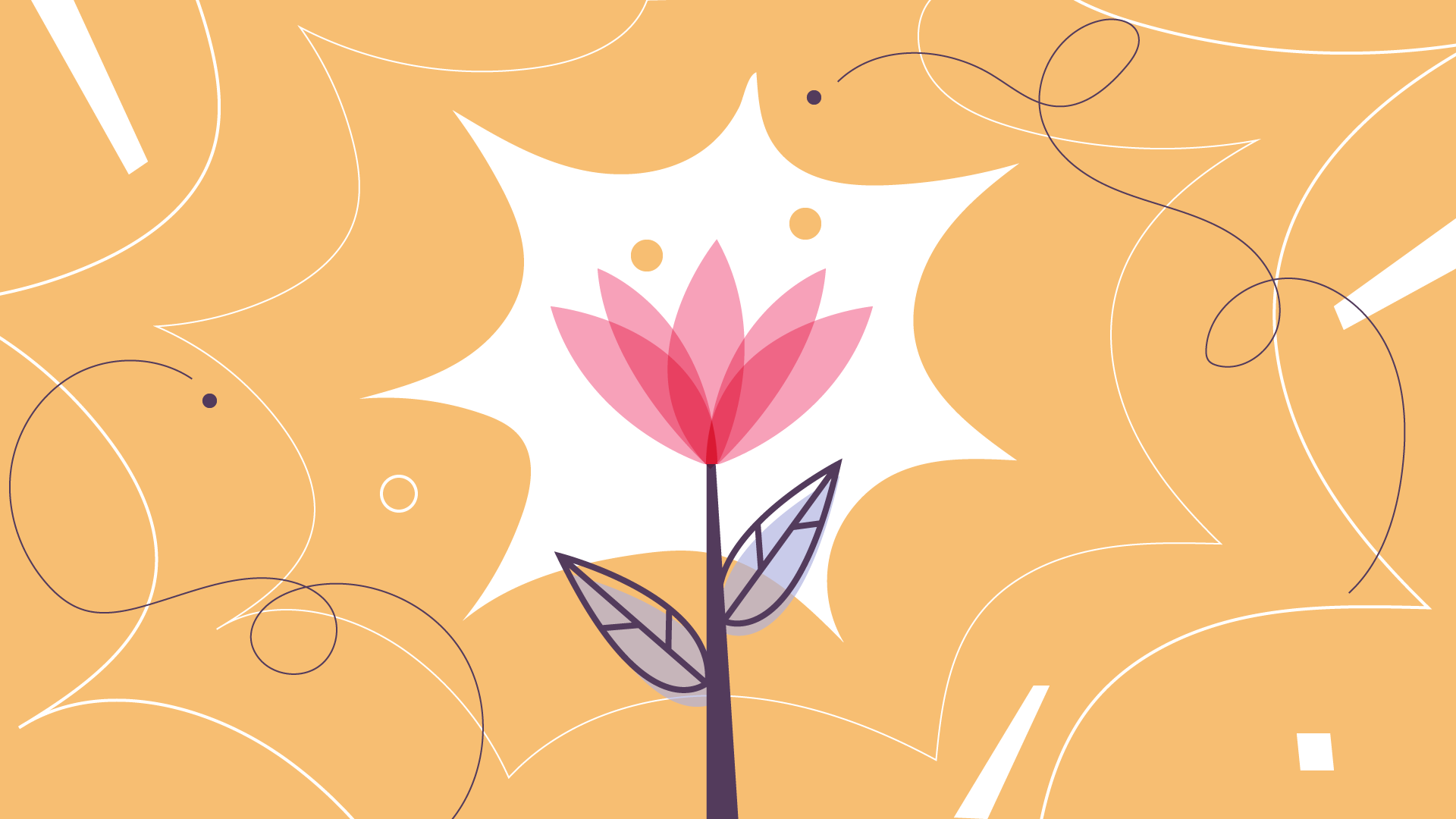 cover-wanderwonder.png