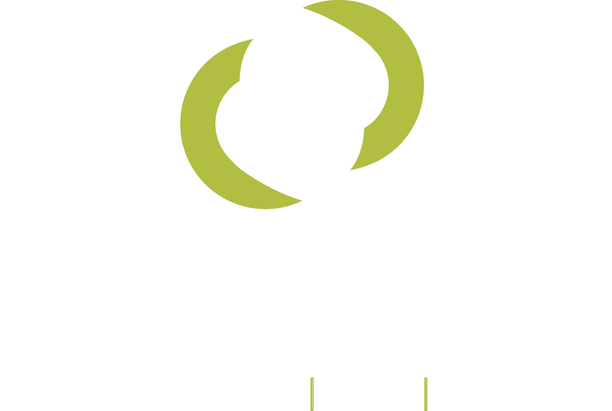 Catena Development Services
