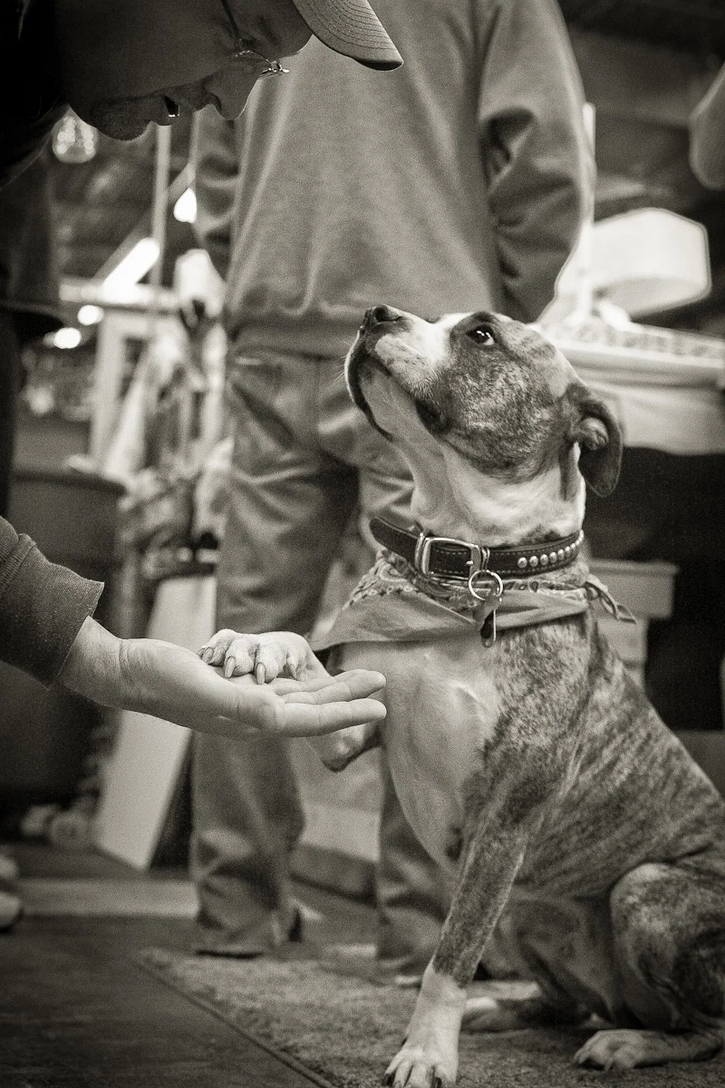Jim and Rufus, 2012