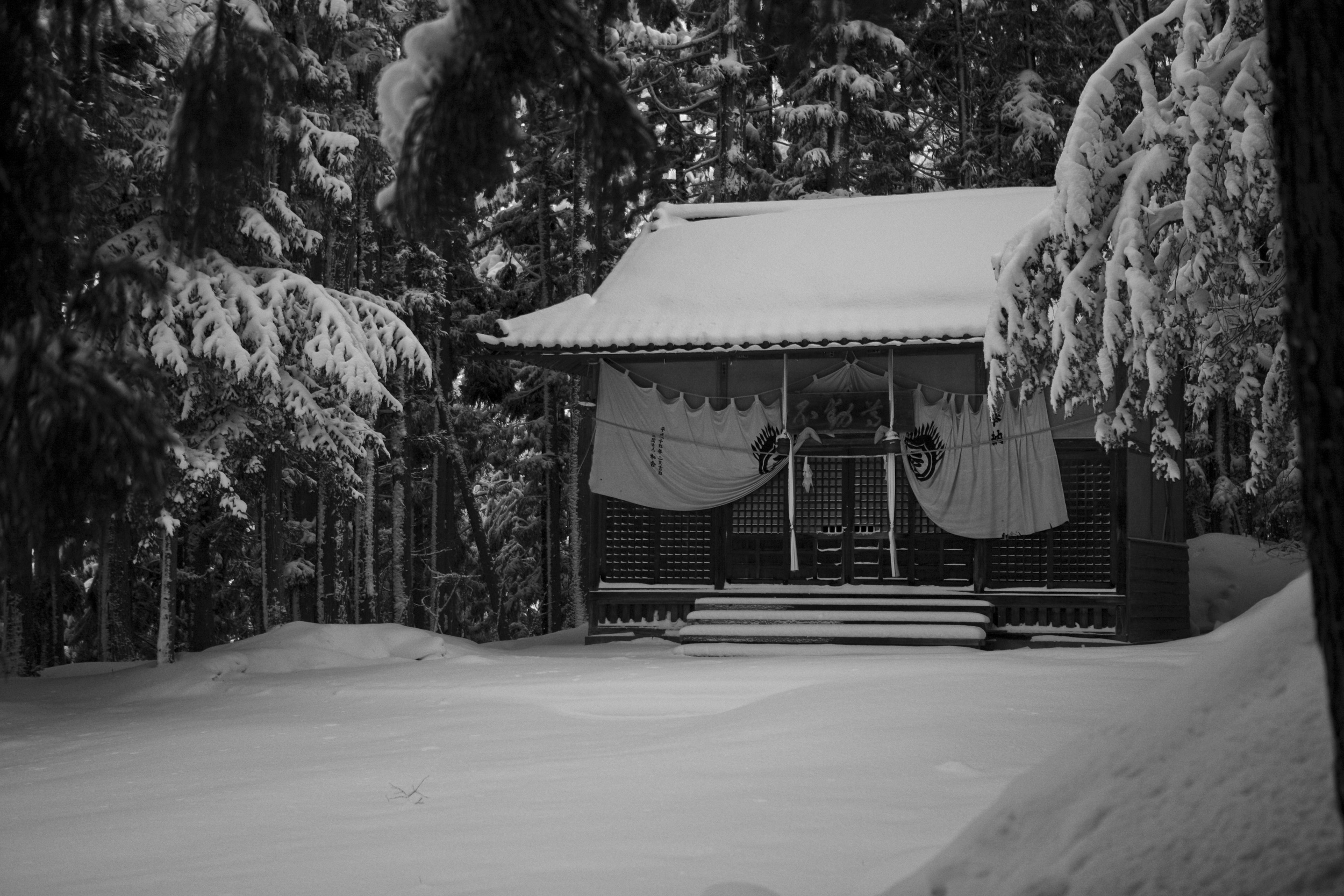 Hut in Snow, 2011