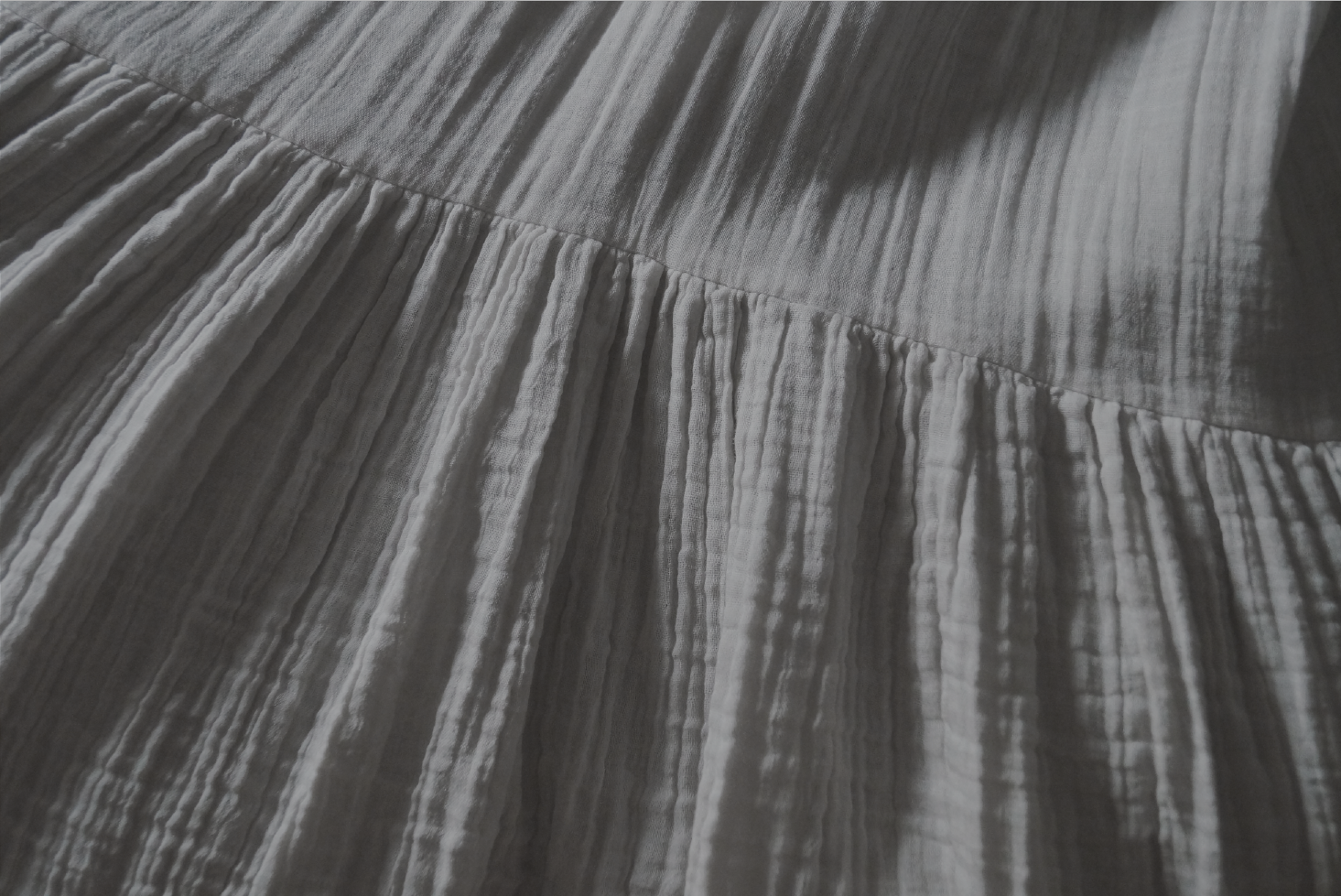 limetta x ichiche banner cream-01.png