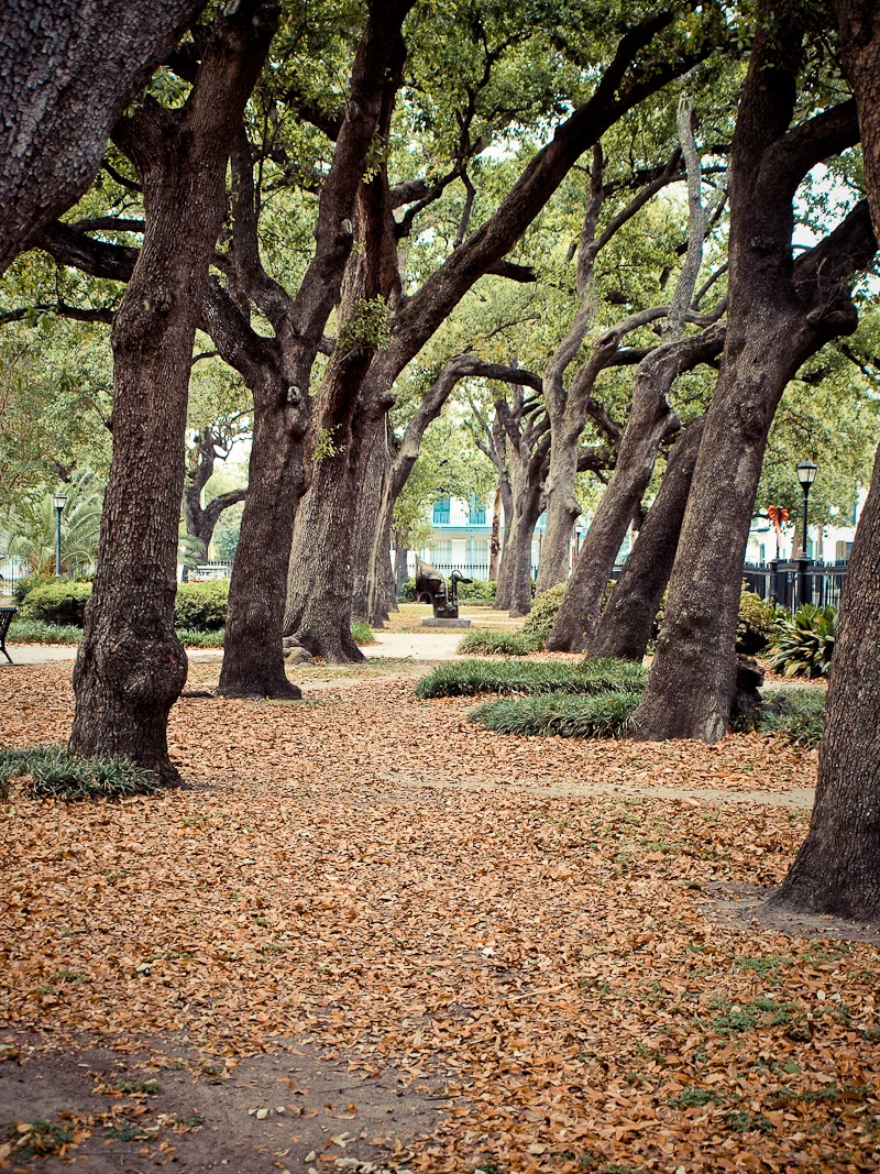 P4252251.jpg
