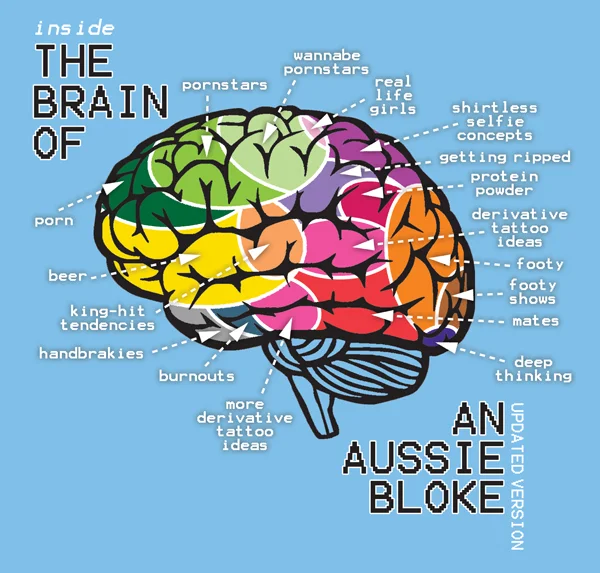 blog-male-brain.jpg
