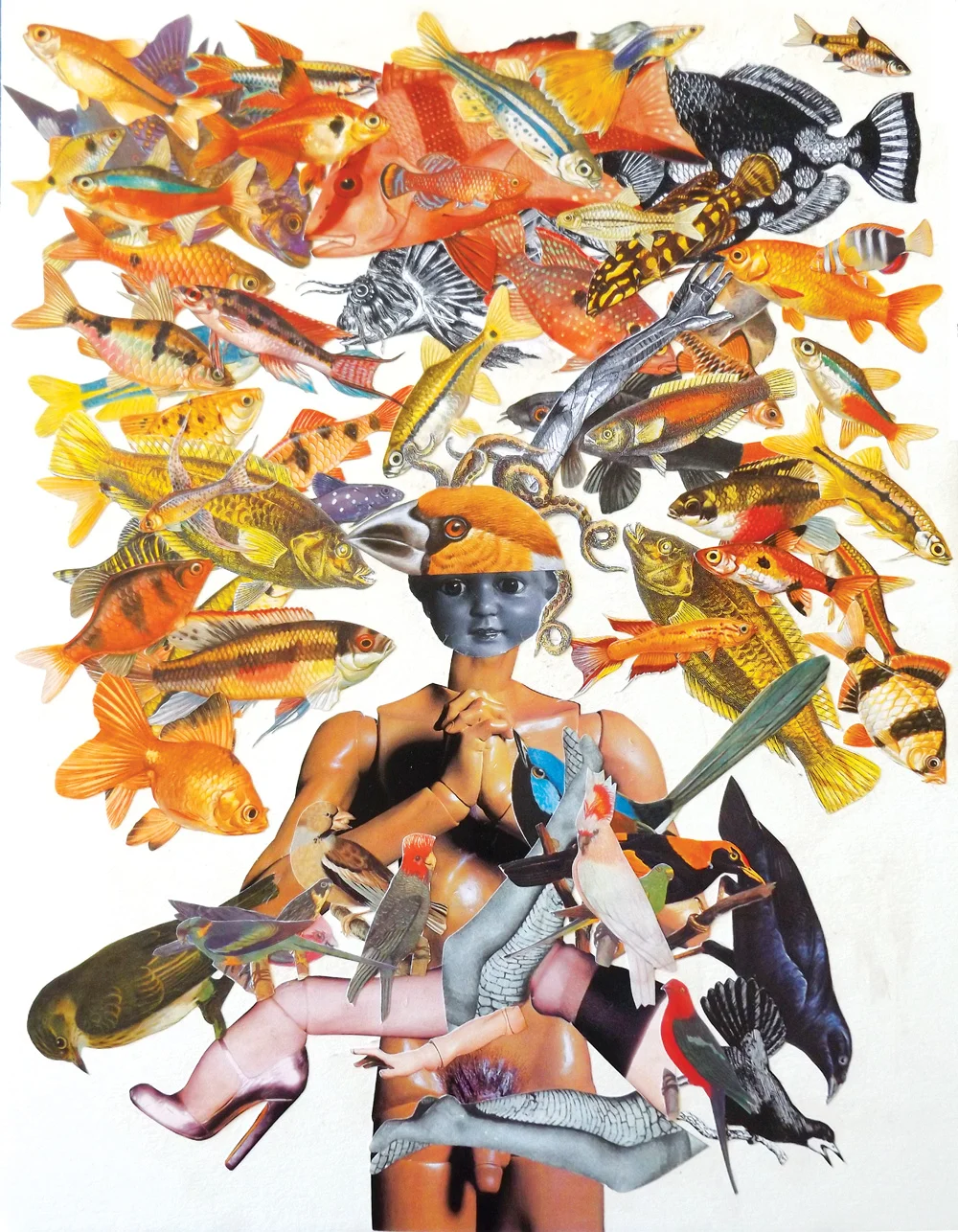 collage-1.jpg