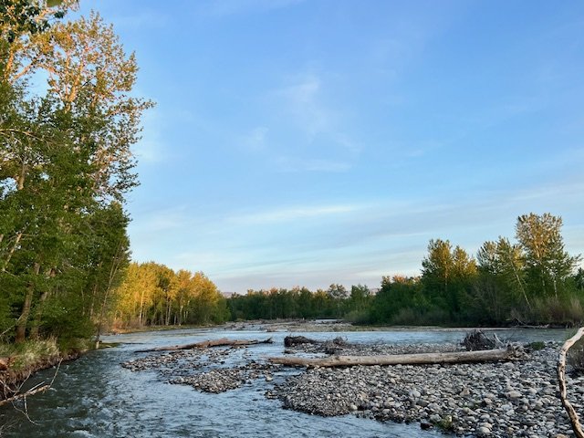 IMG_7691.jpeg