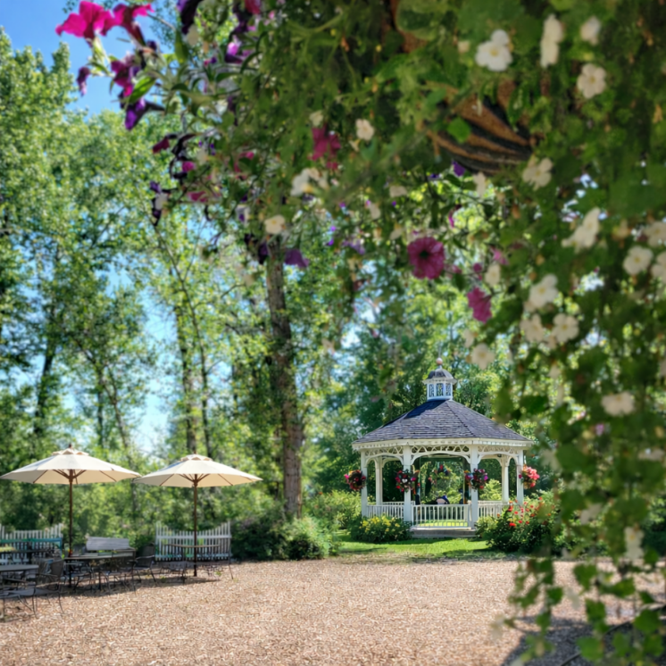 Family reunion, anniversary party