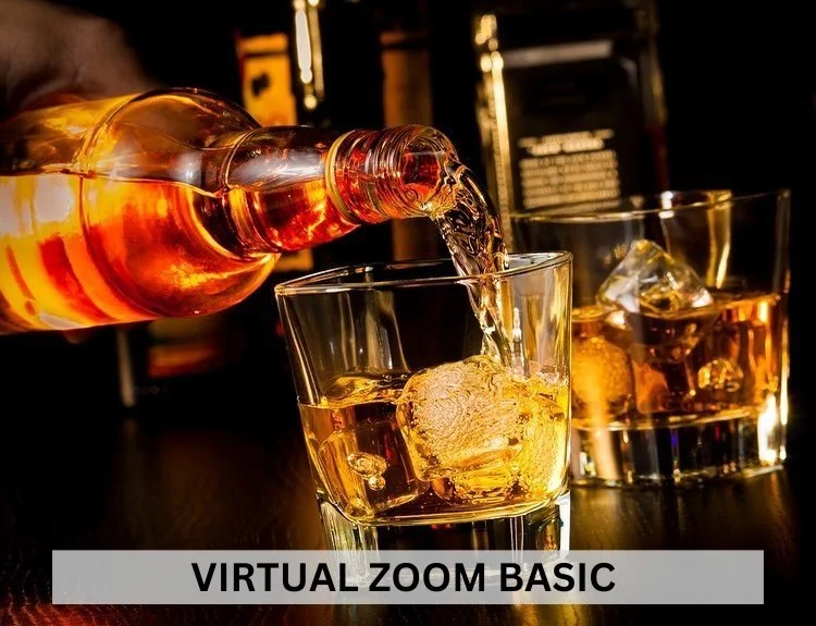 VIRTUAL BASIC CLASSES (3).jpg