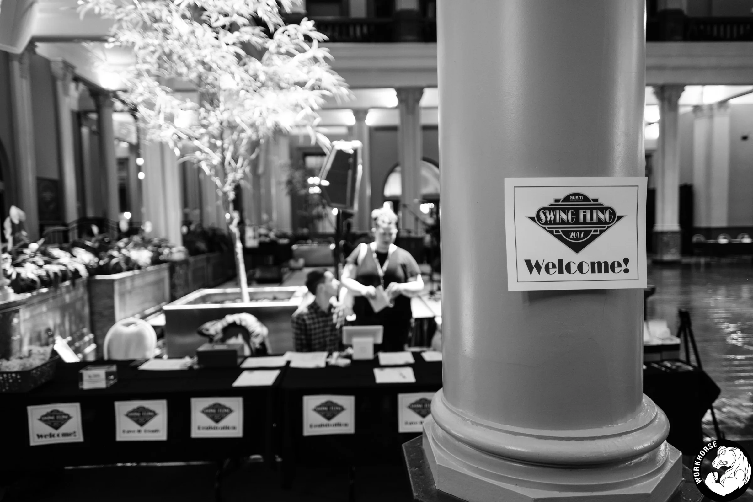AuSM Swing Fling 2017 (1 of 59).jpg
