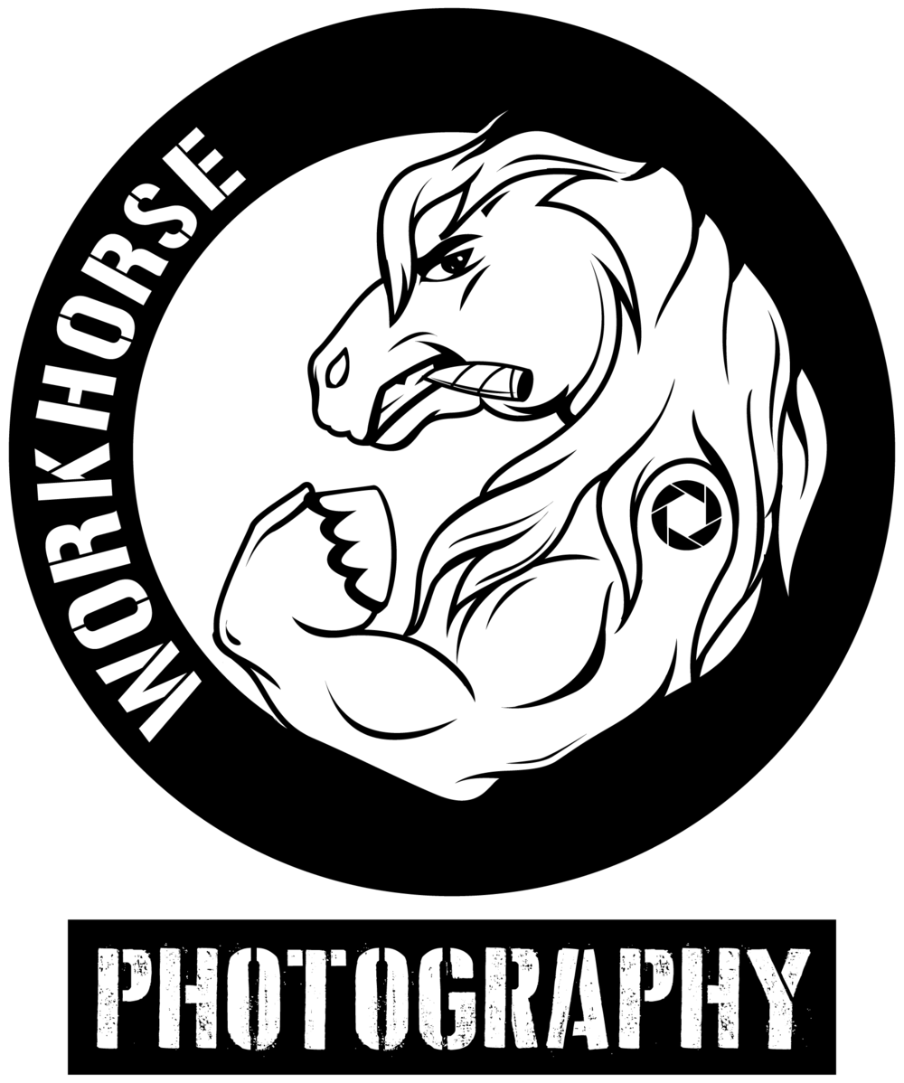 Workhorse Photography