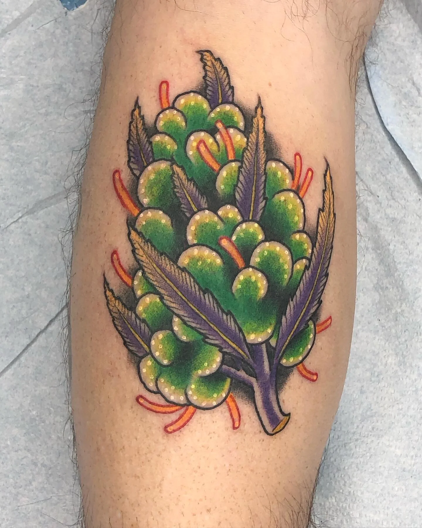 Super fun nug I got to do! #weedtattoo #cannabistattoo #cannabis #weed #tattoo #tattoos #neotraditionaltattoo #colortattoo