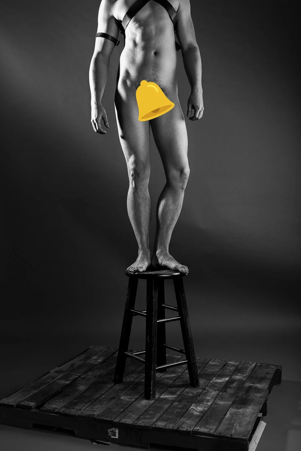 web nude censored.jpg