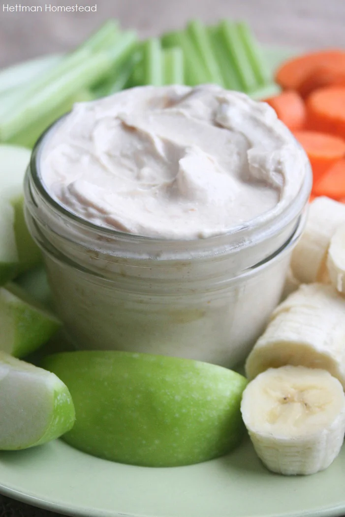 Peanut Butter Protein Dip — Hettman Homestead