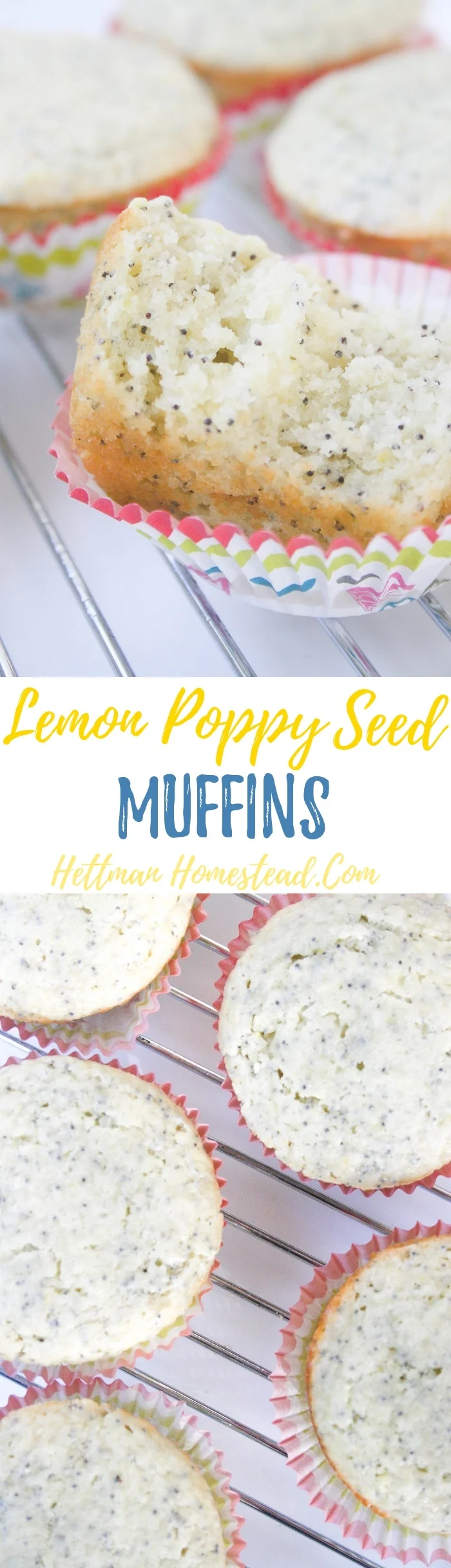 soft lemon poppy seed muffins.jpg