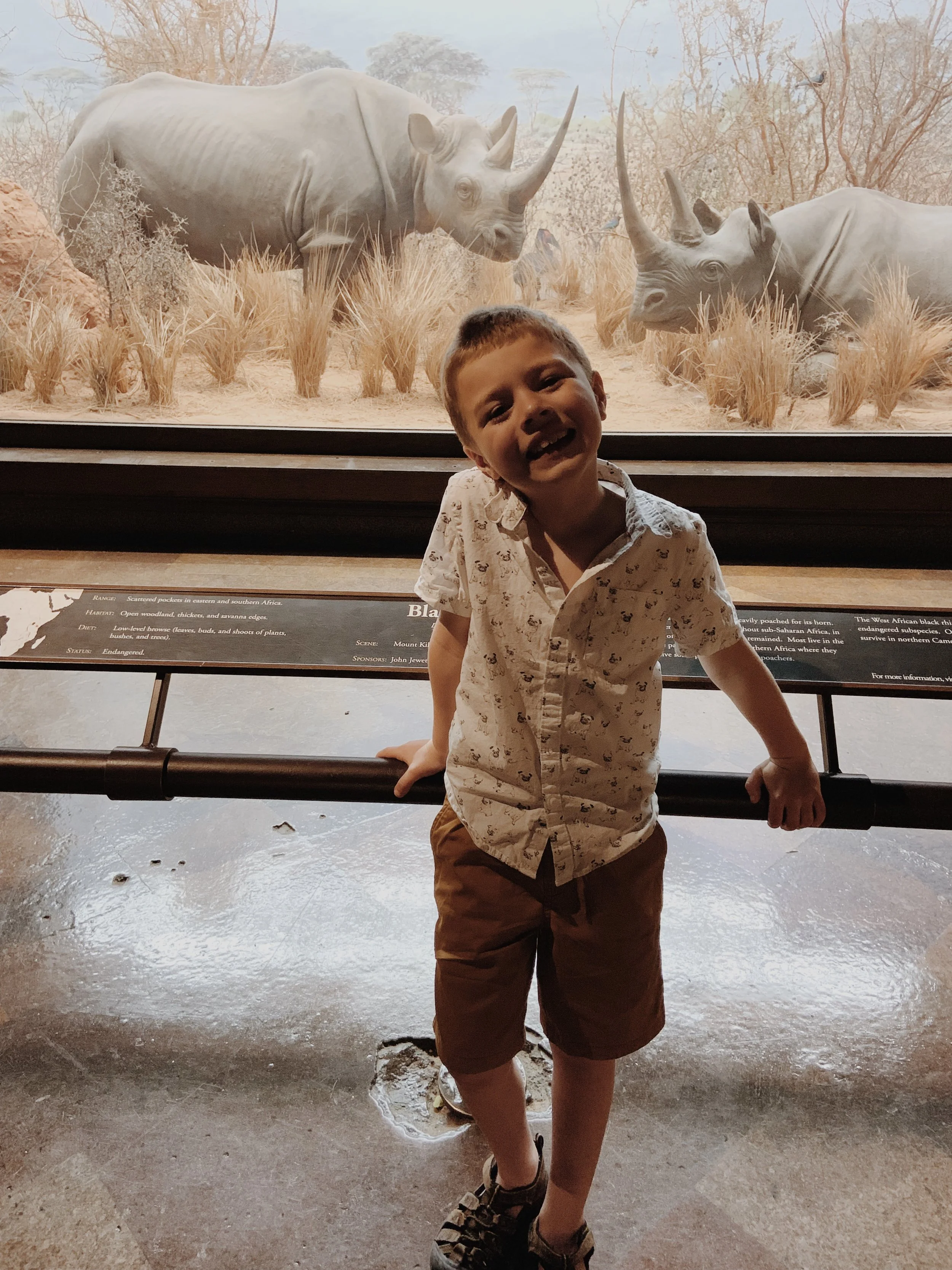 4C223587-3C77-437F-B51C-A21D3D02176E.jpeg