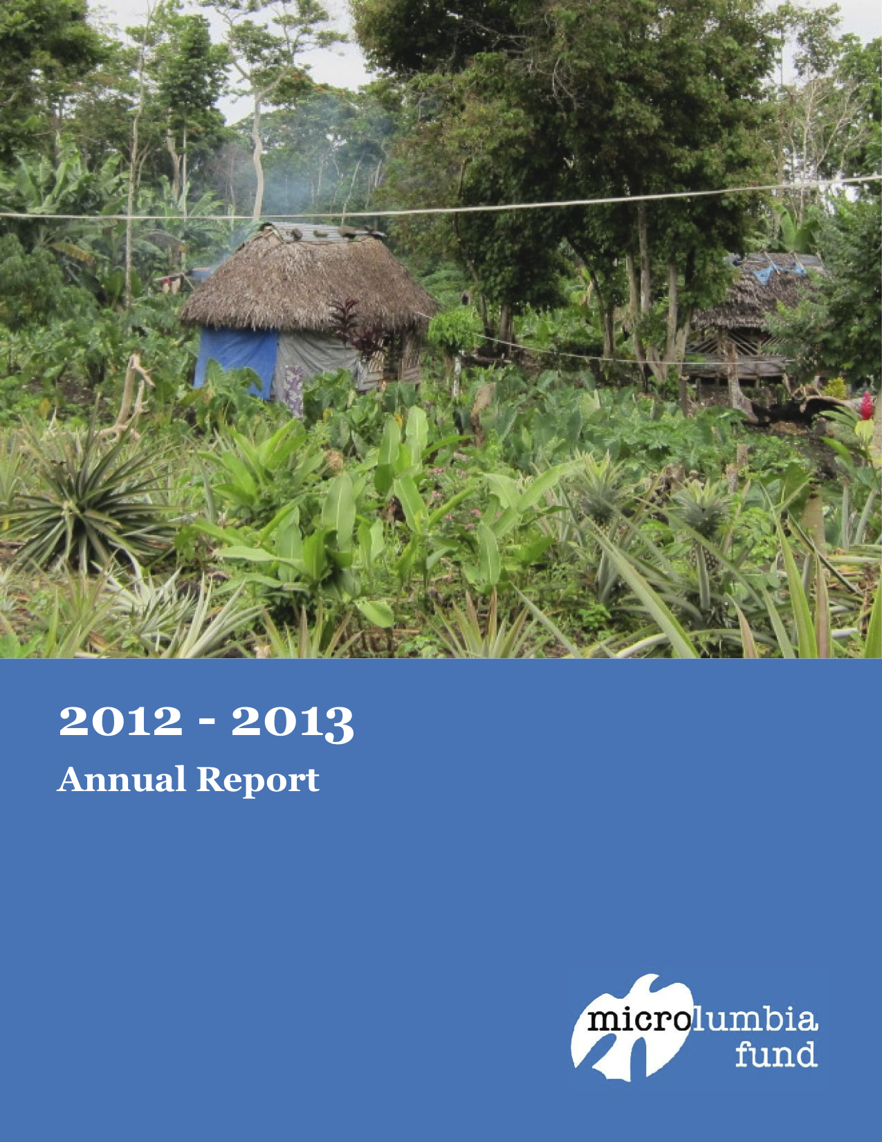 2012-2013+Microlumbia+Annual+Report+DRAFT+-+5+9+14_v2.png