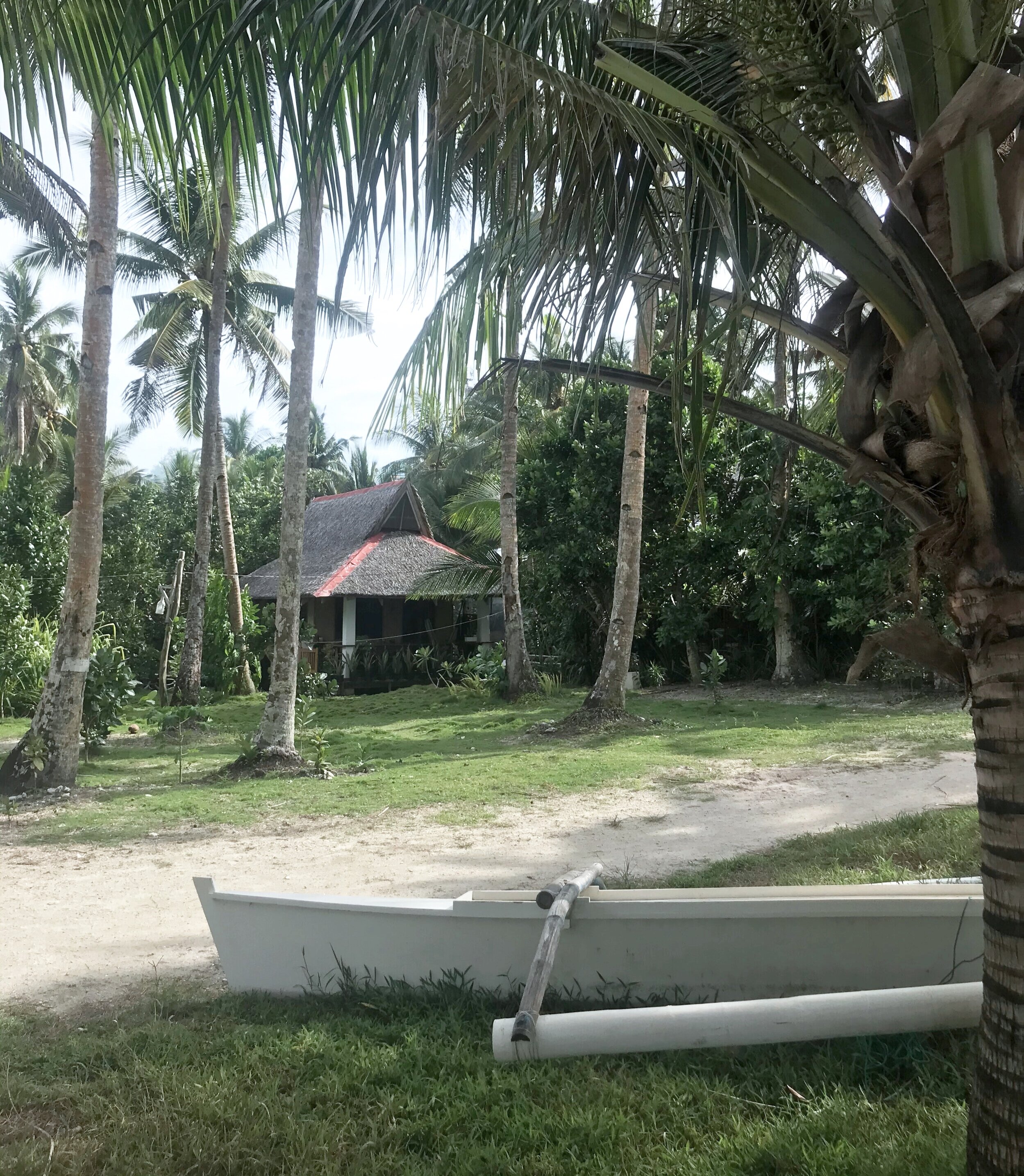 Living in Tune With Nature (on a small remote island)