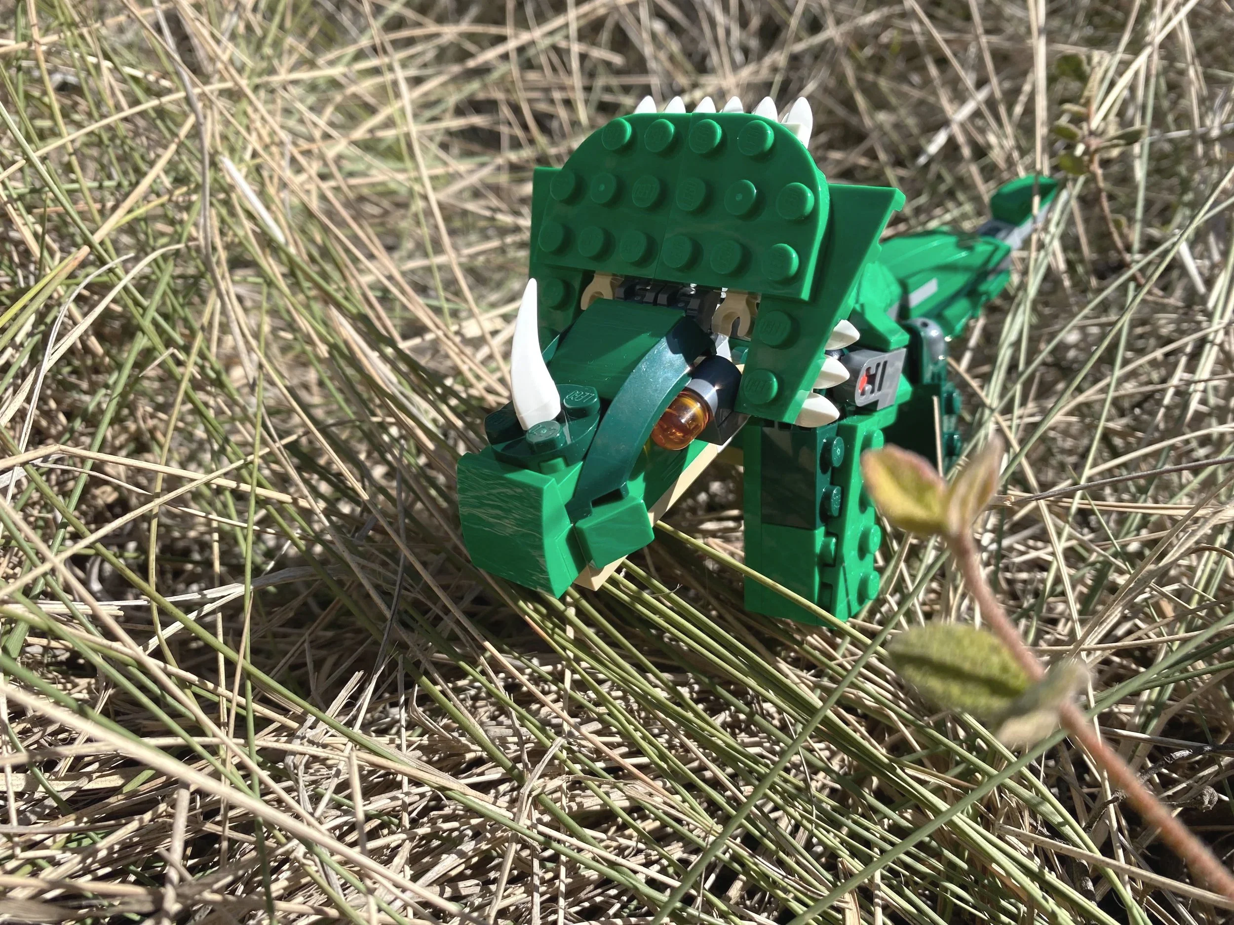 The Creative Process: Permission to PLAY