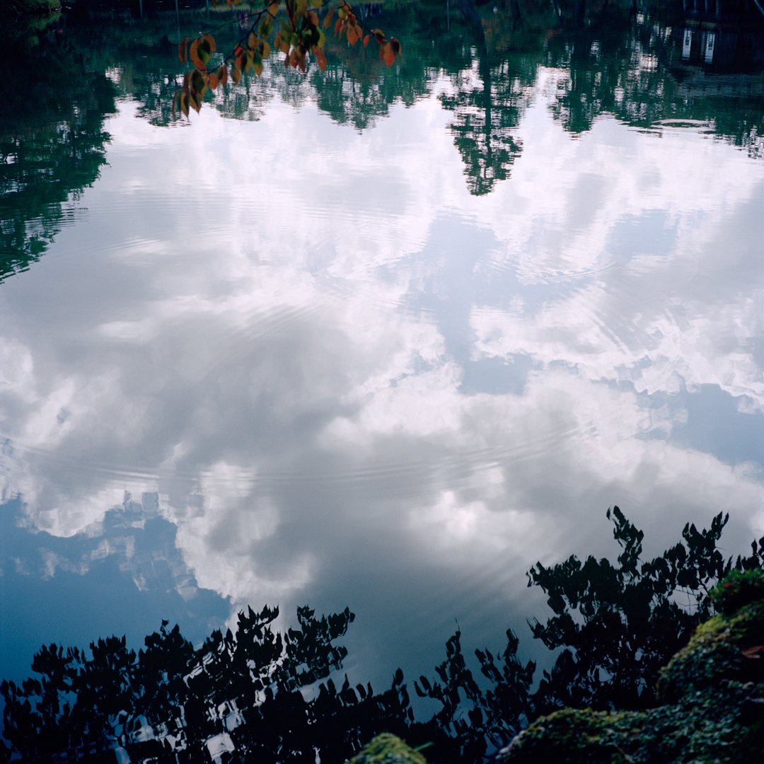 The Pond II.jpg