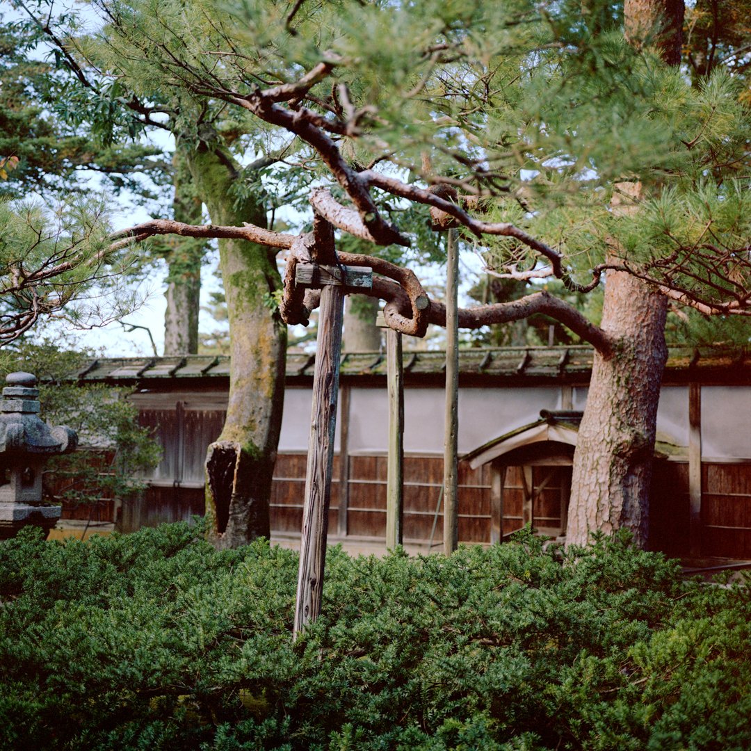 Support System I.jpg