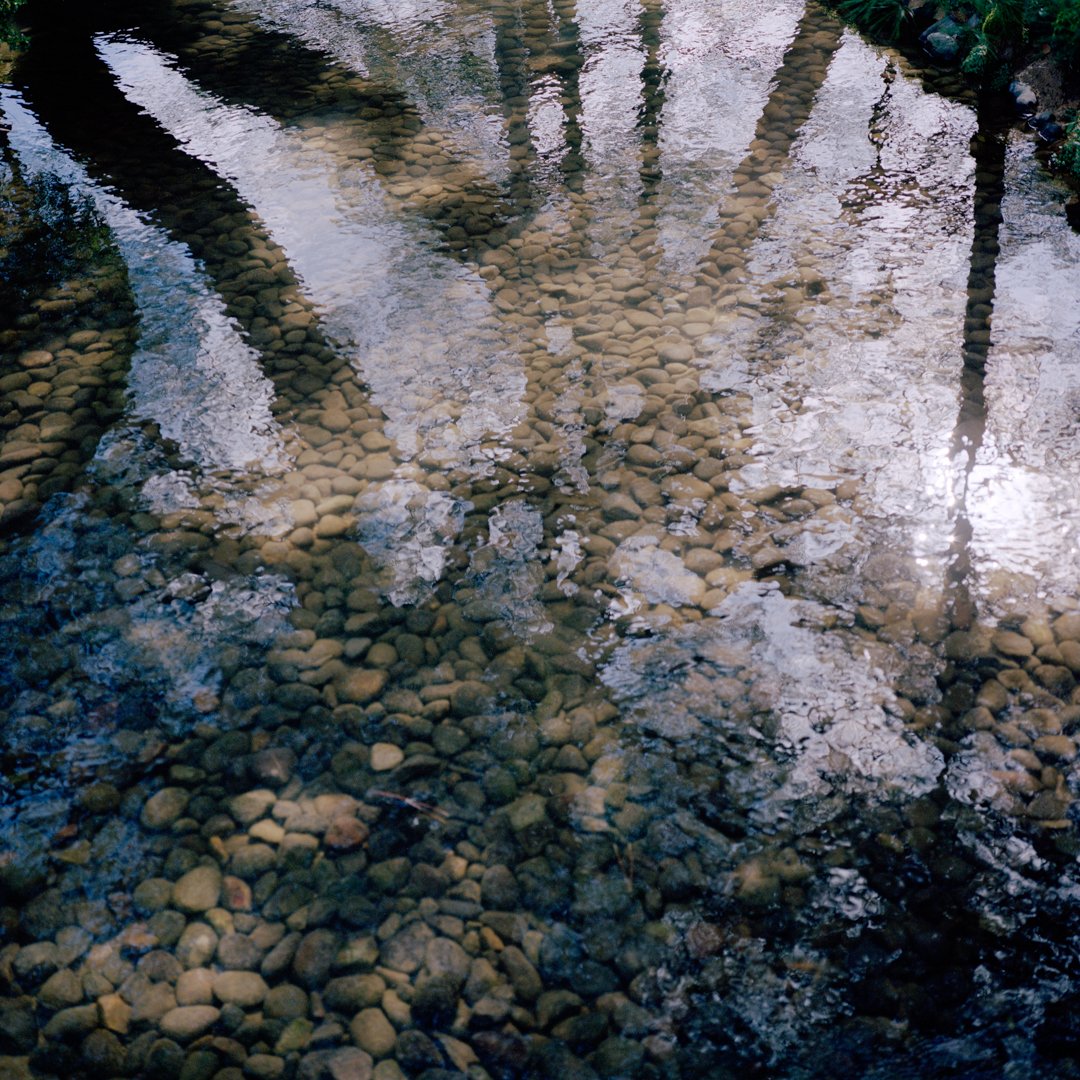 The Pond III.jpg