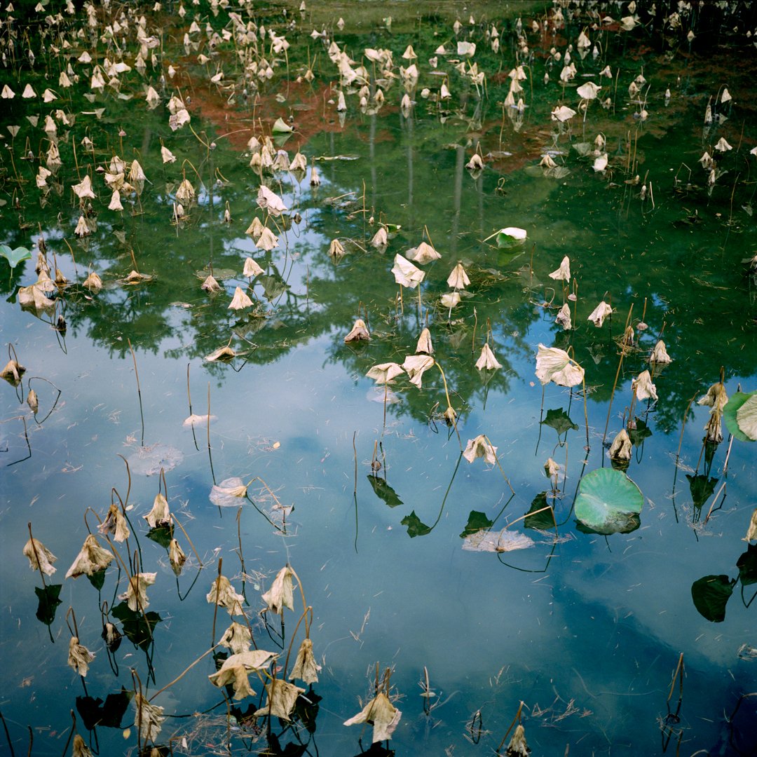 The Pond I.jpg