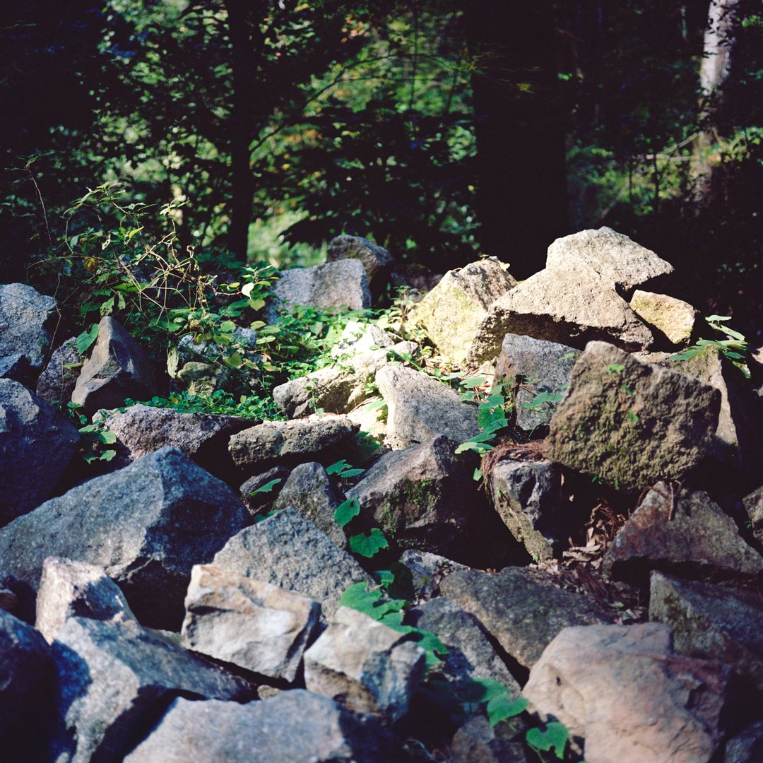 Behind the Temple.jpg
