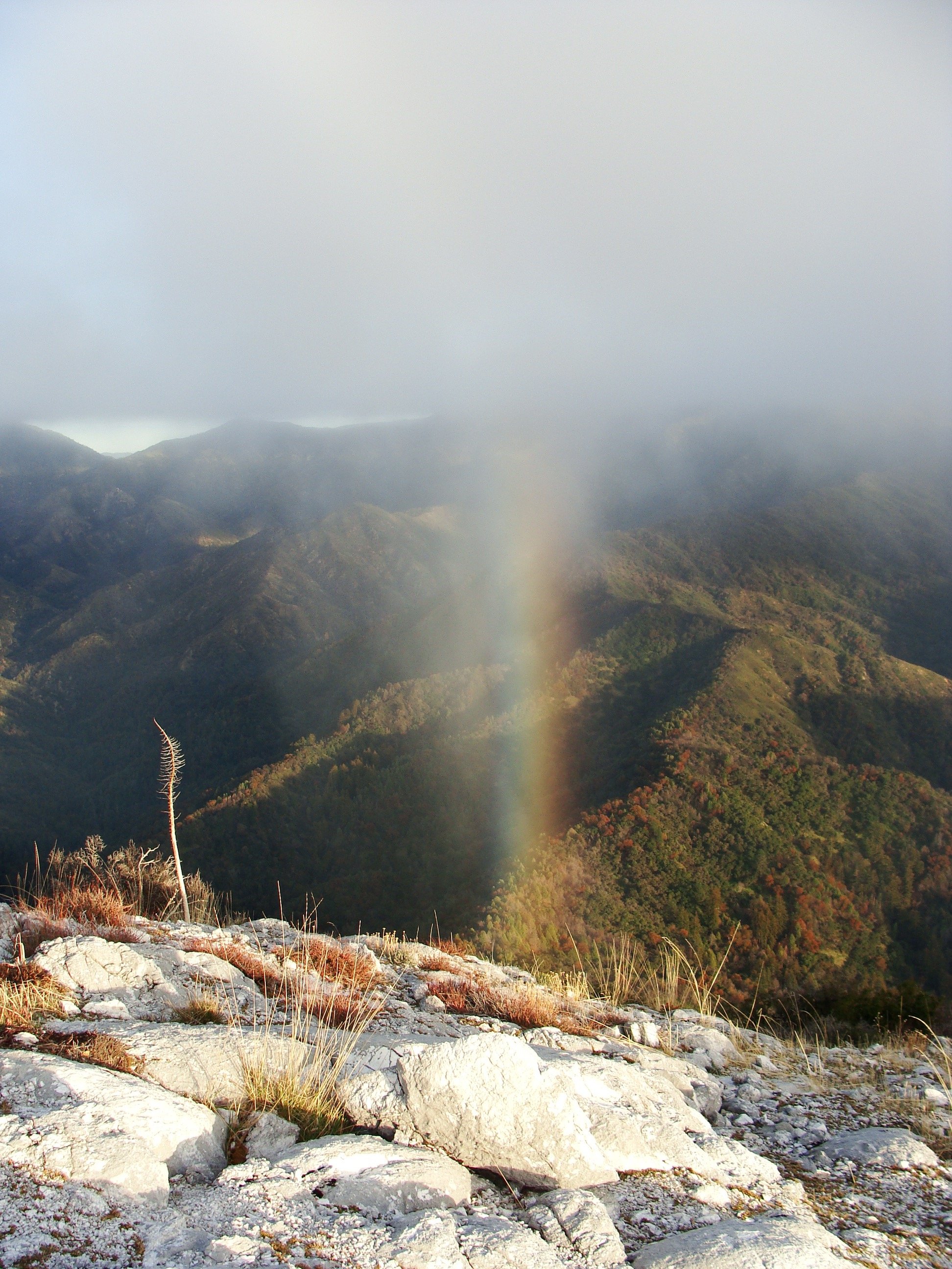 Pico Rainbow.jpg