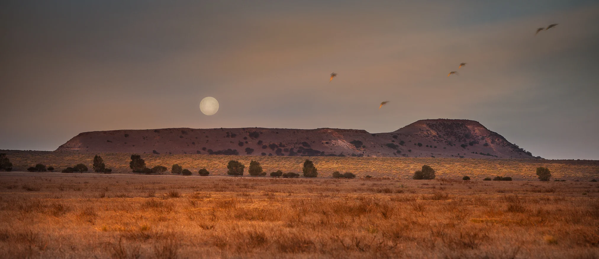 Moon Over Mt fairfax