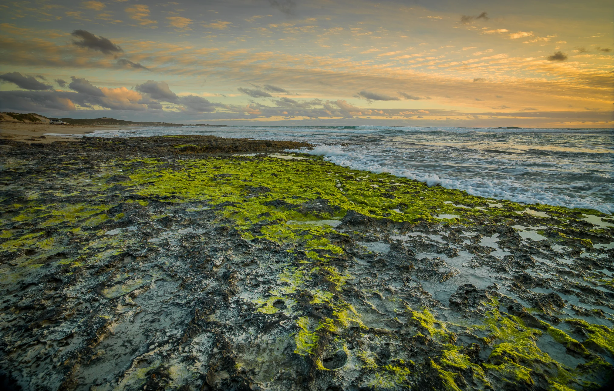 Mossy reef at Cape Burney
