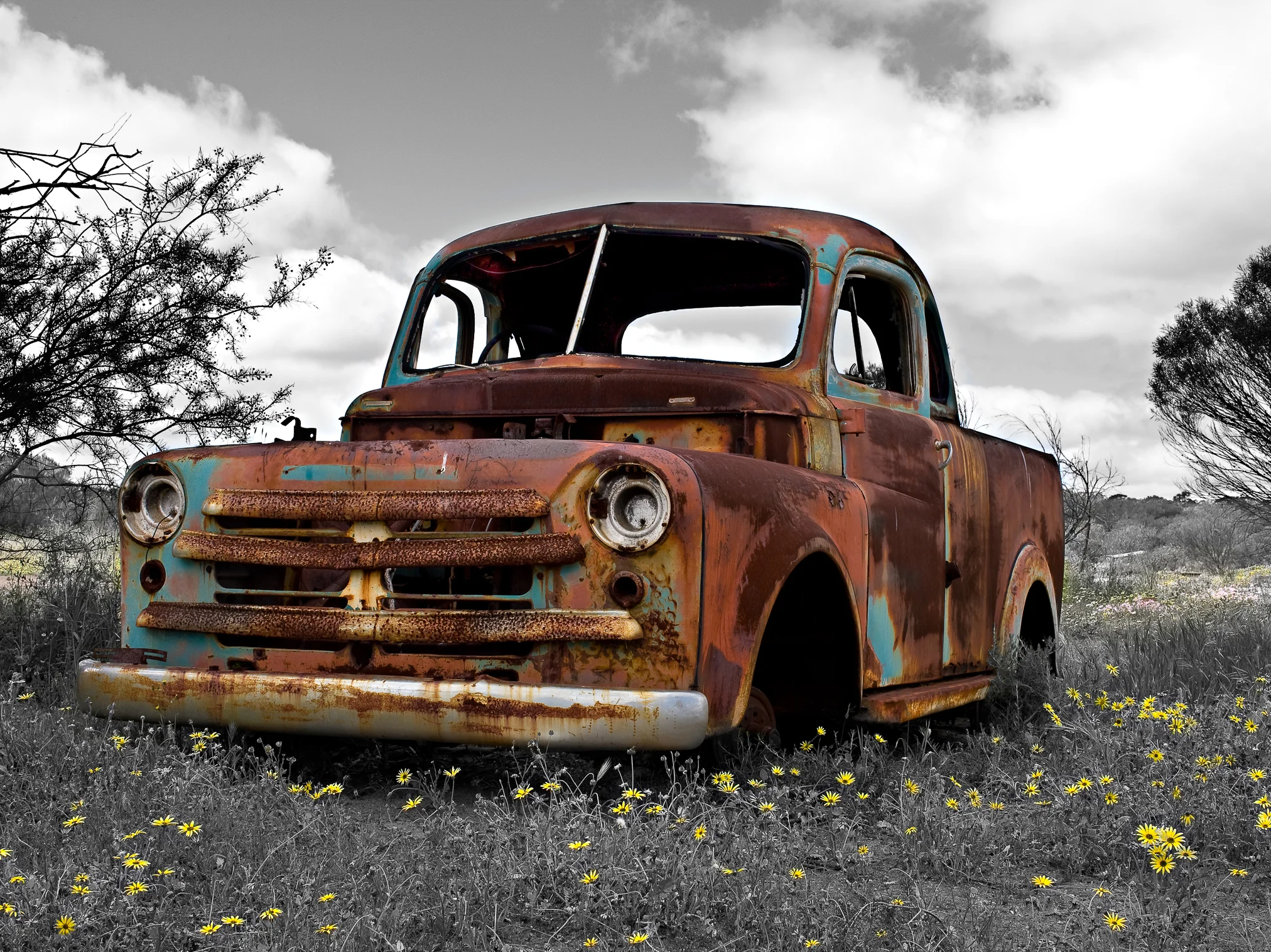 Old Ute and Widflowers