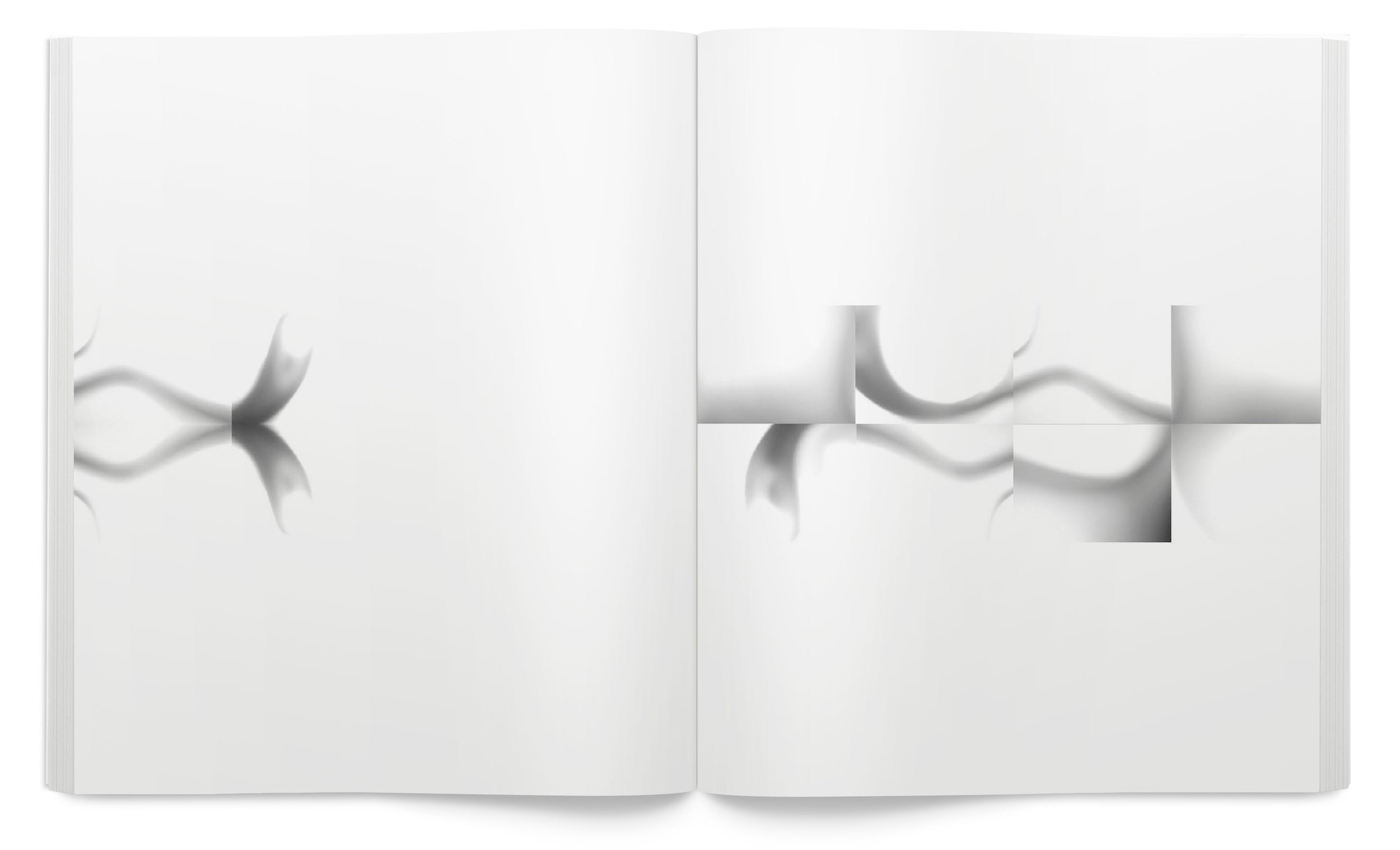 Form_Book_comp6.jpg