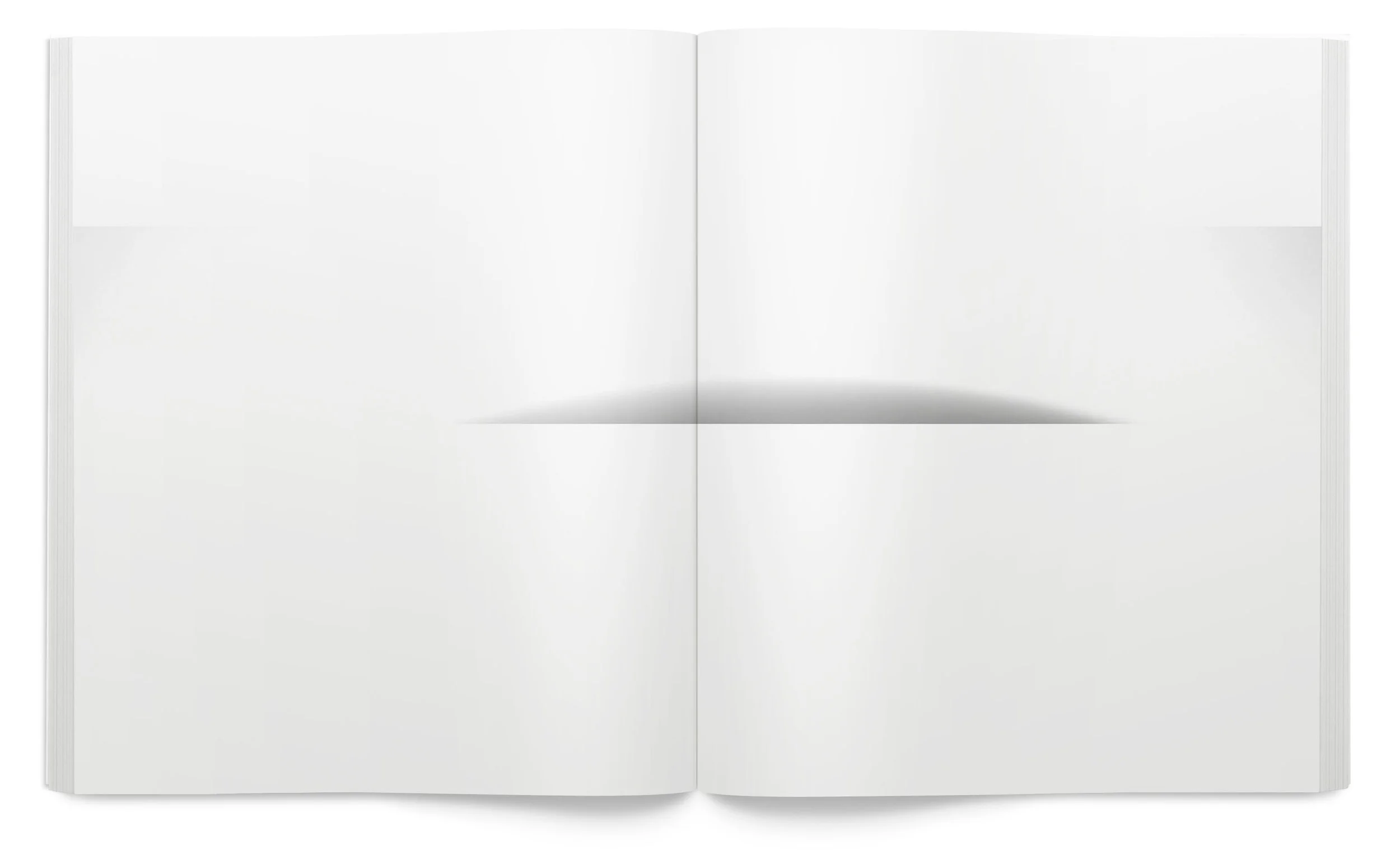 Form_Book_comp8.jpg