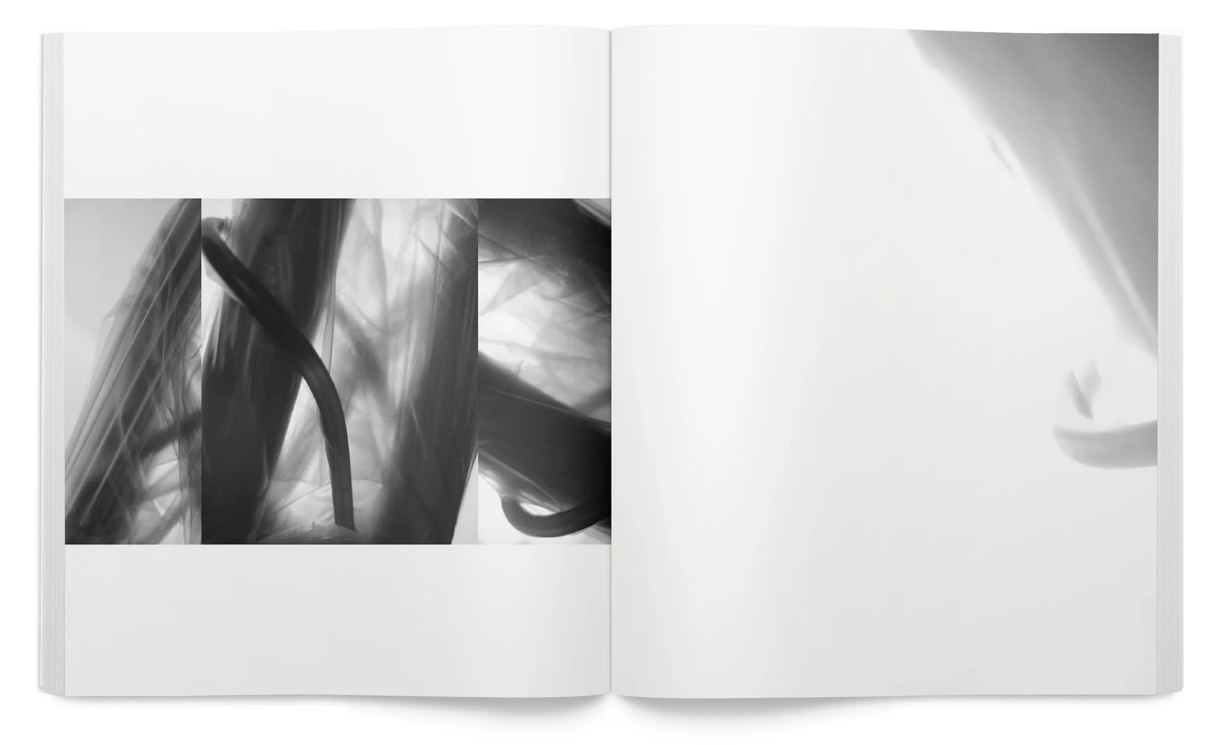 Form_Book_comp14.jpg