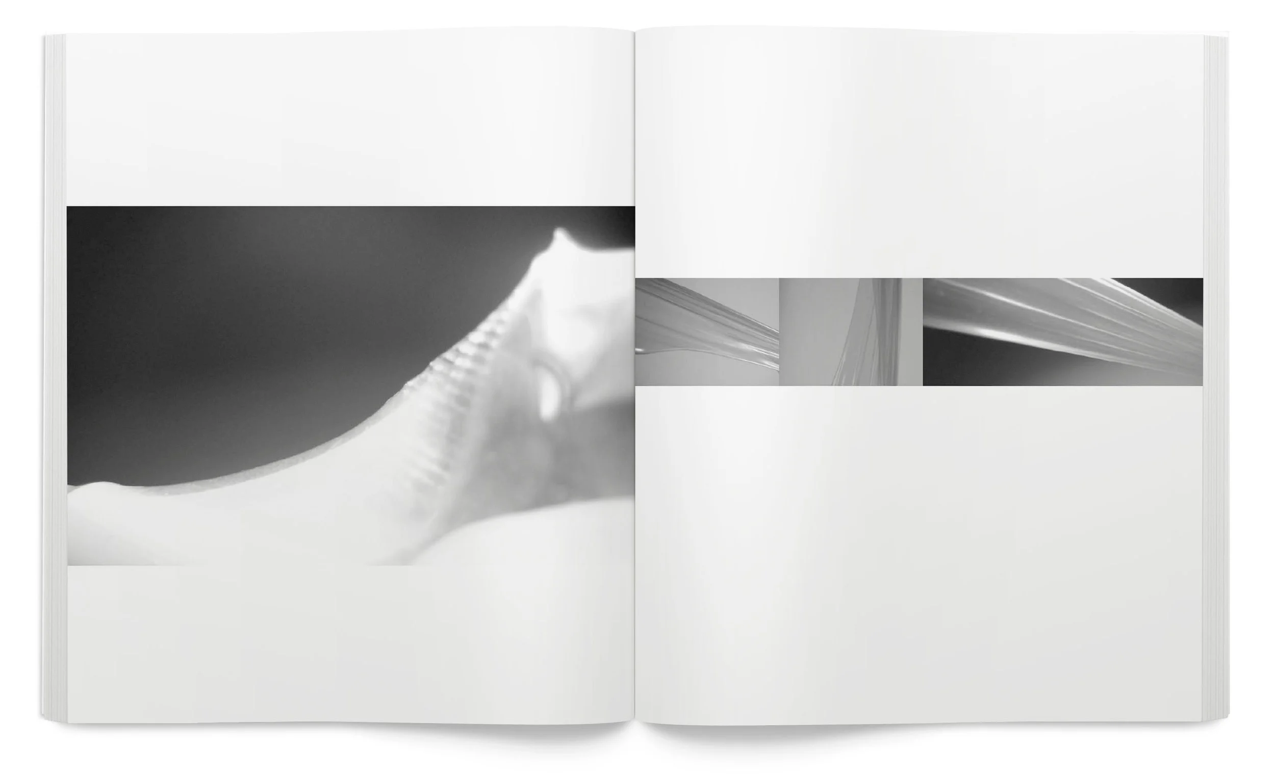 Form_Book_comp15.jpg