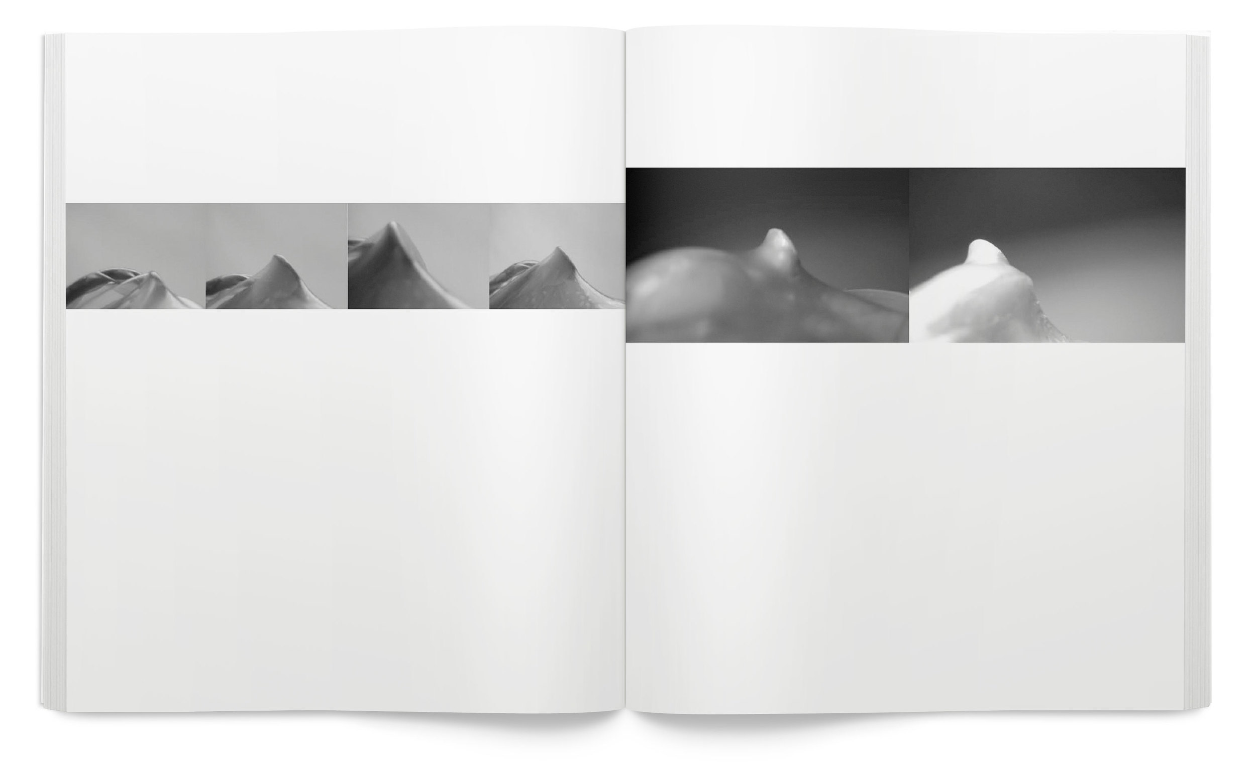 Form_Book_comp16.jpg