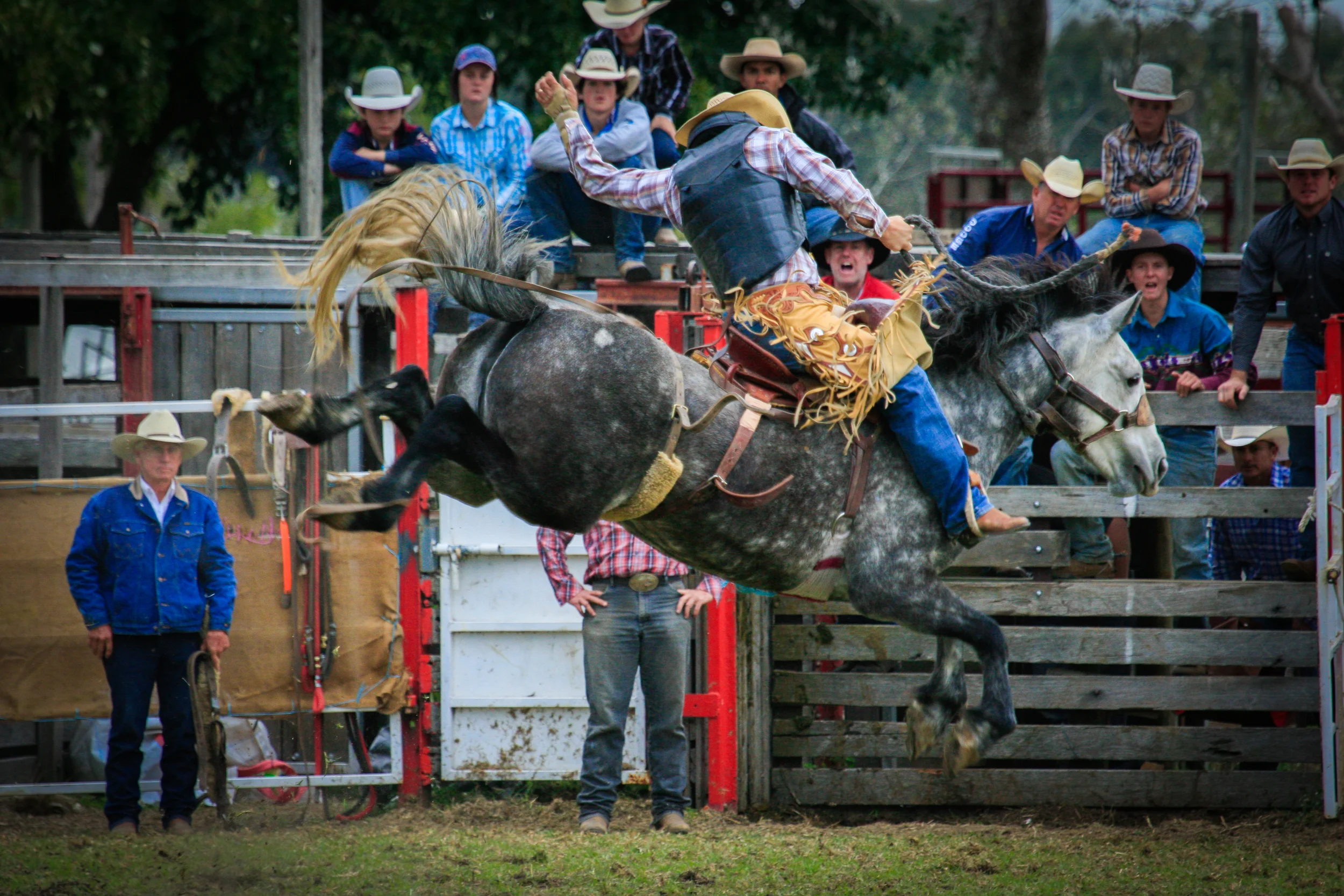 Lang Lang Rodeo-443.jpg