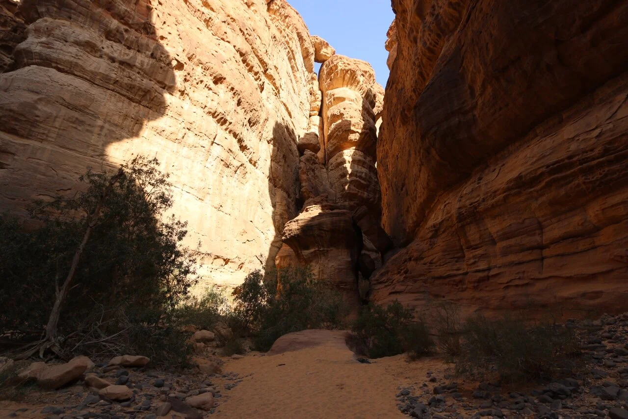 Ancient Caravan Saudi Arabia