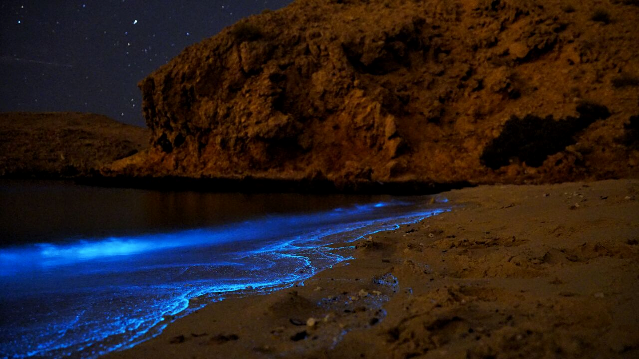 The Hidden Pearls of Oman Kayak Expedition