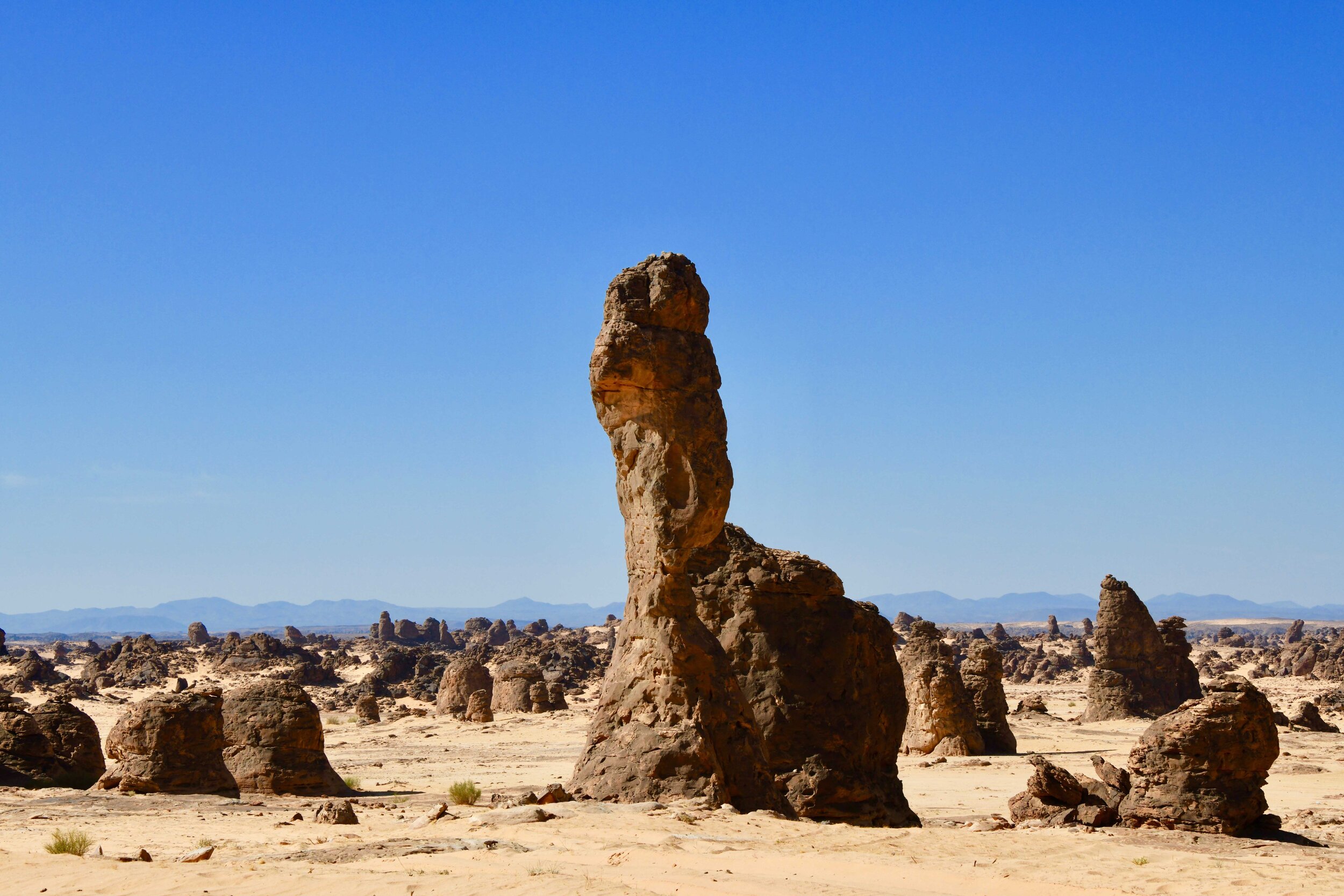 Eco Trail Package - Saudi Arabia